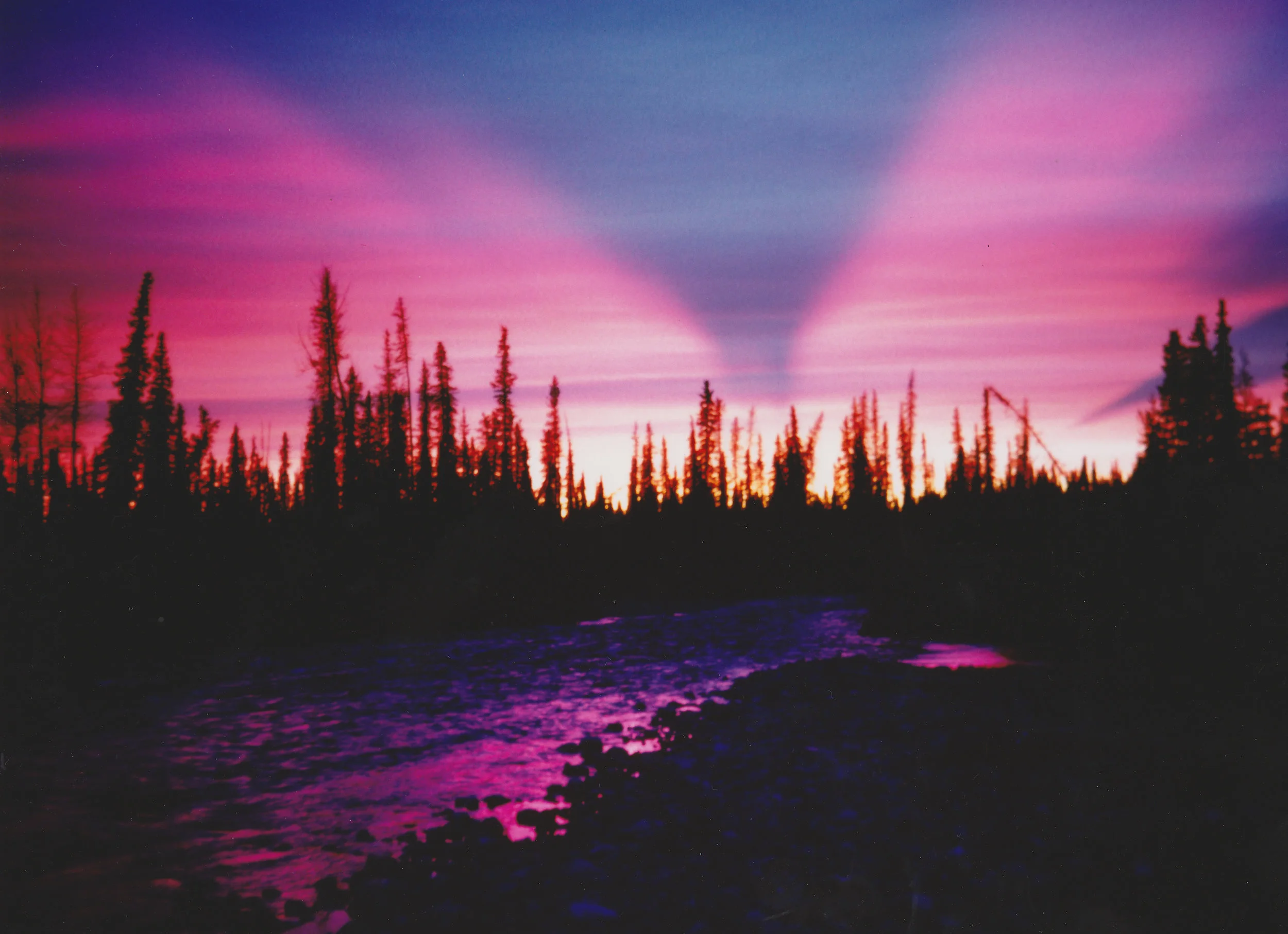 I took this photo when we were packing our last load of meat. It was a beautiful evening to spend around the camp fire.