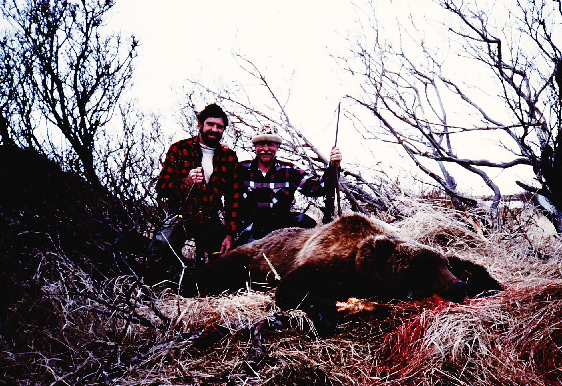 1st Guided Brown Bear