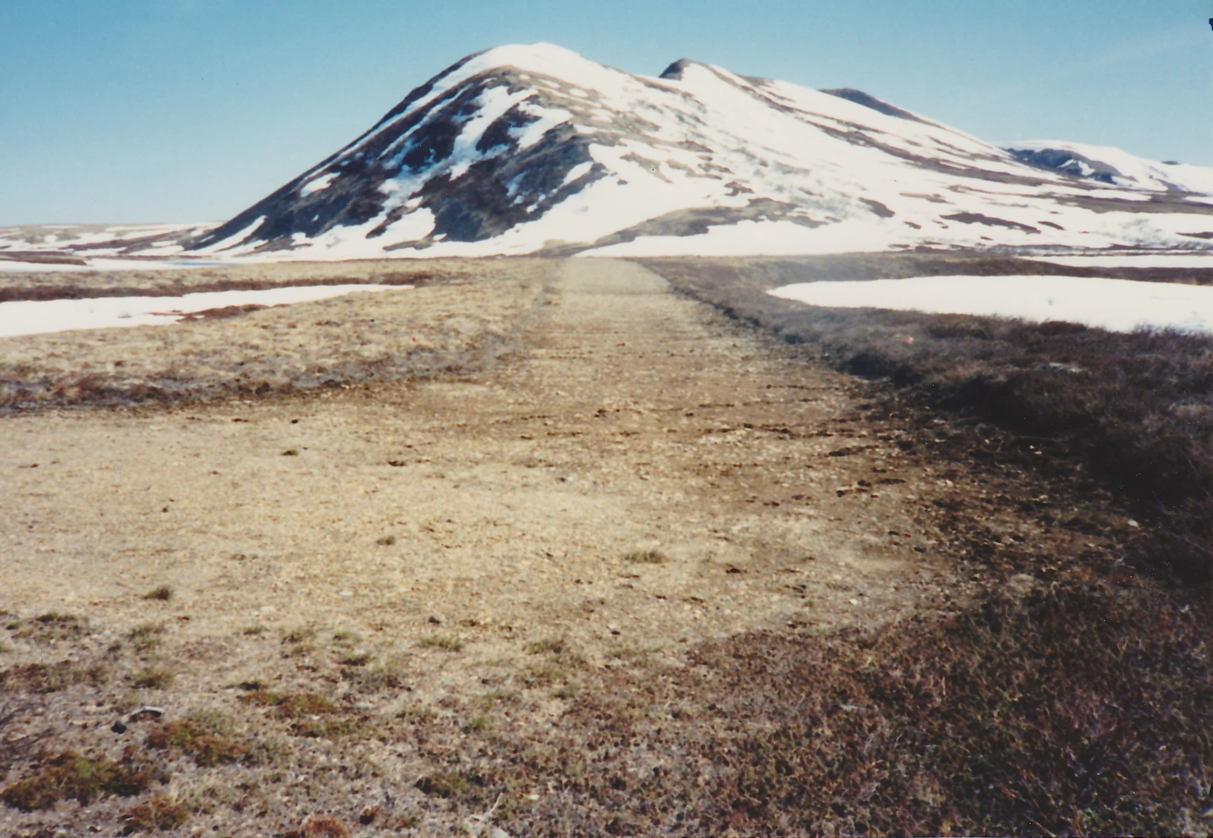 Otter Lake Strip
