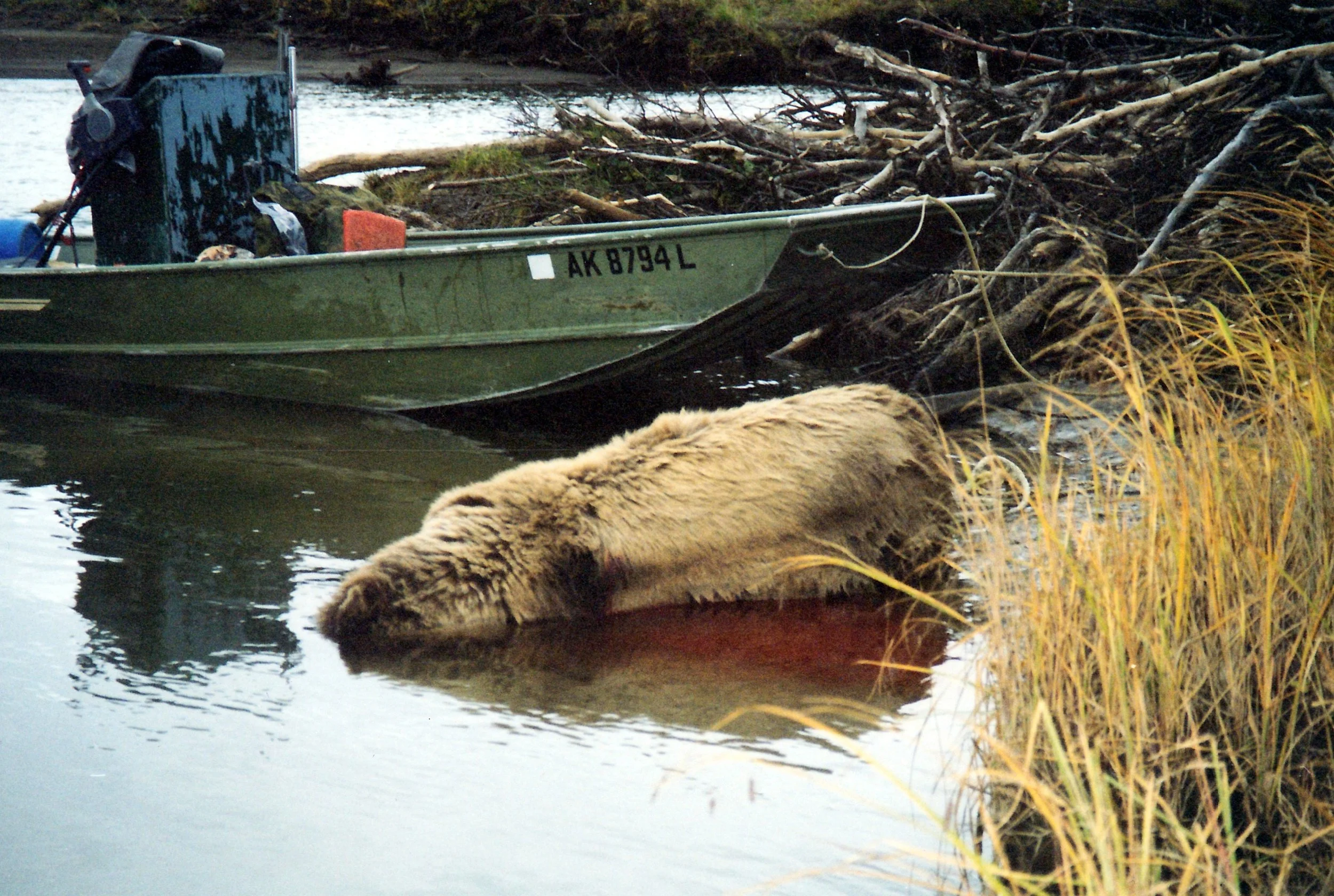 Get That Bear In The Boat