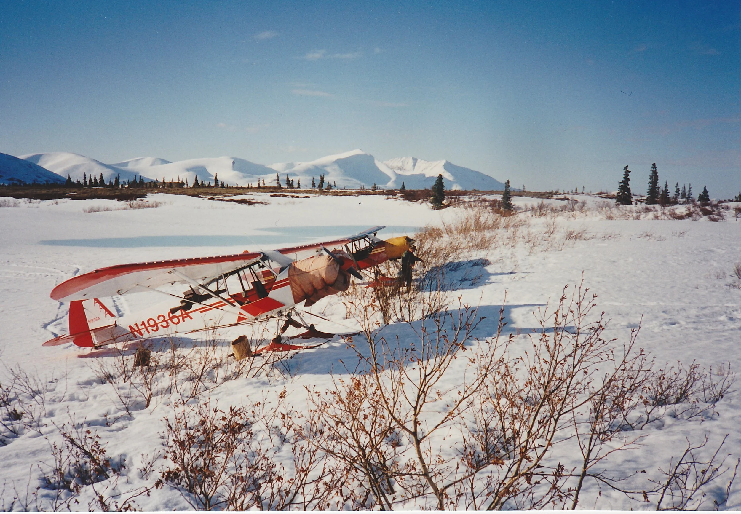Spring Bear Hunting