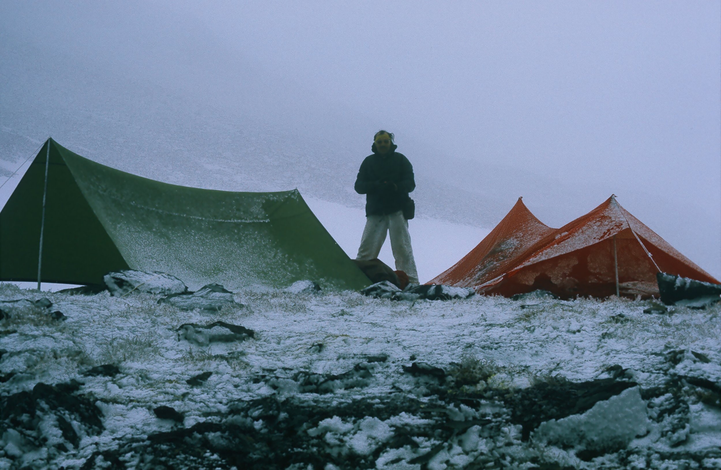 Kenai Sheep Hunt