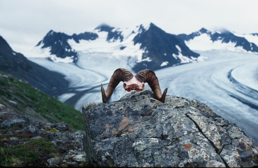 The Tonsina Glacier Area