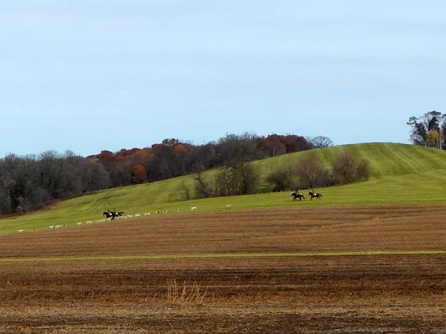 During the fox hunt.