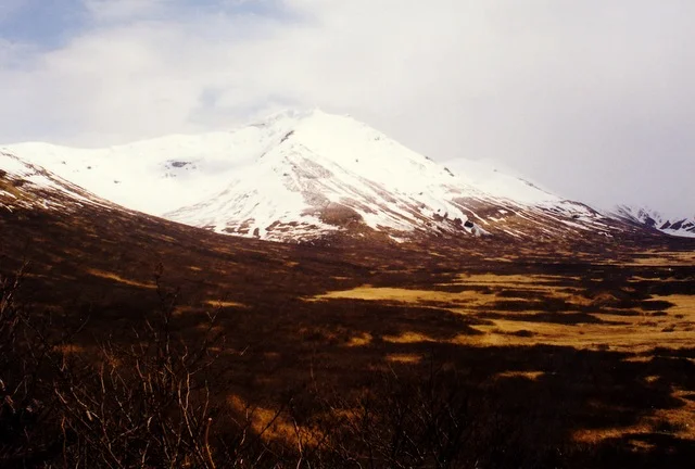 The southern exposure of Barney Creek valley from our glassing hill.
