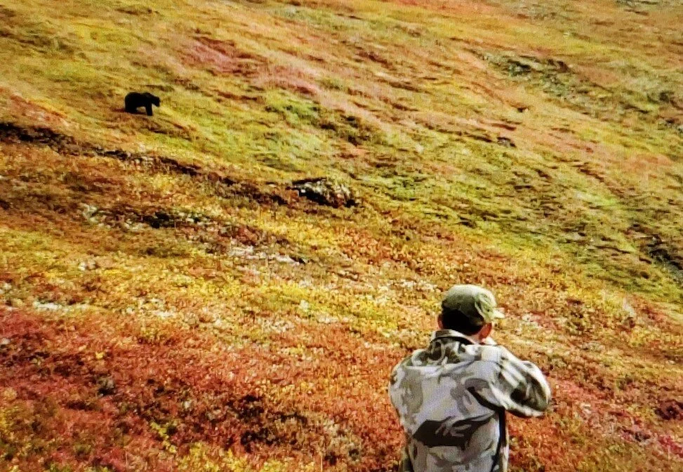 Jared taking his final shot before the bear rolled.