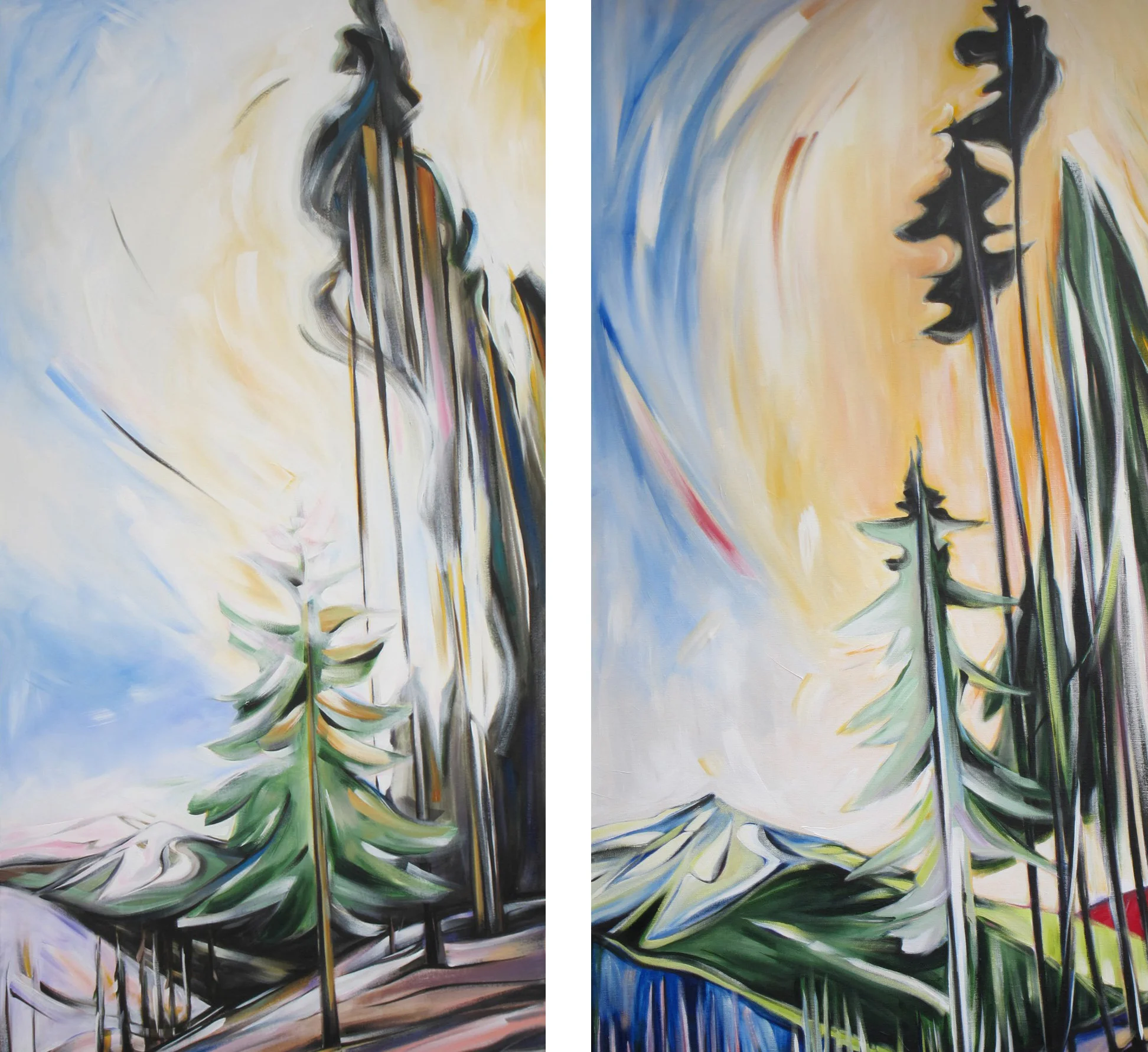 Veiled Skylight for Faure #1 & #2 (Panorama Series)
