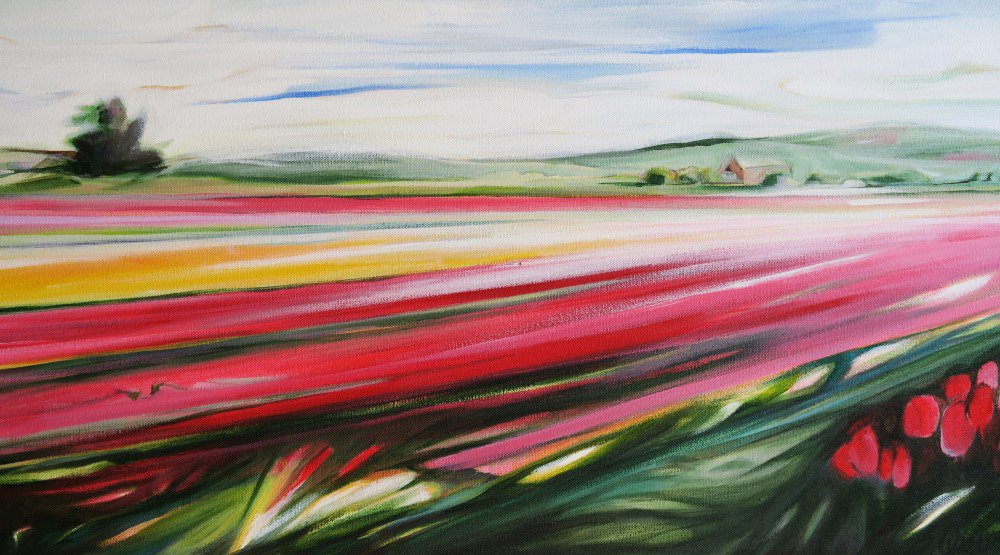 Tulip Fields 3