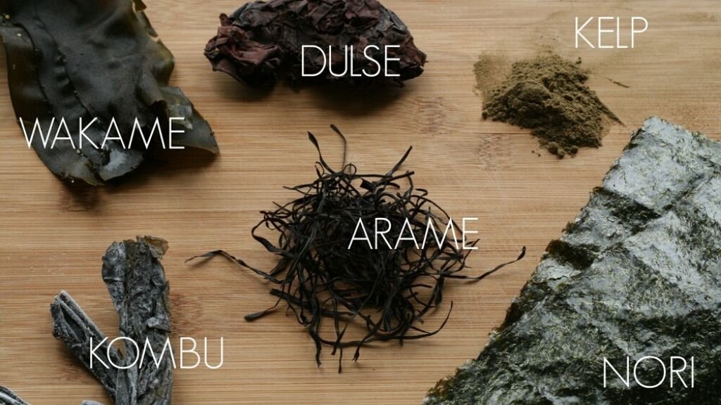 Seaweed 101: The benefits of seaweed and how to use seaweed in your cooking  | Jennifer Raye | Medicine and Movement
