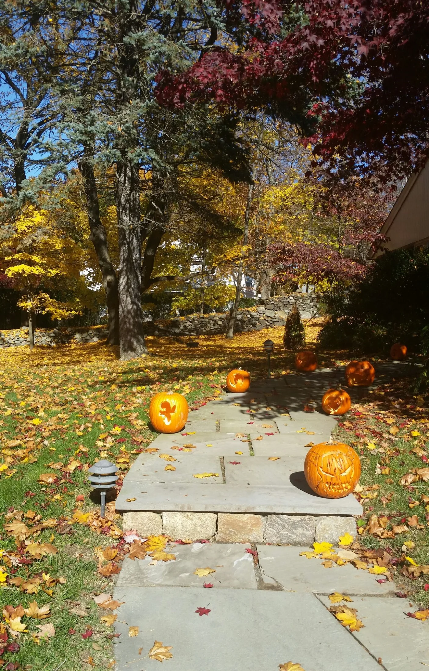 20151103_110249.jpeg