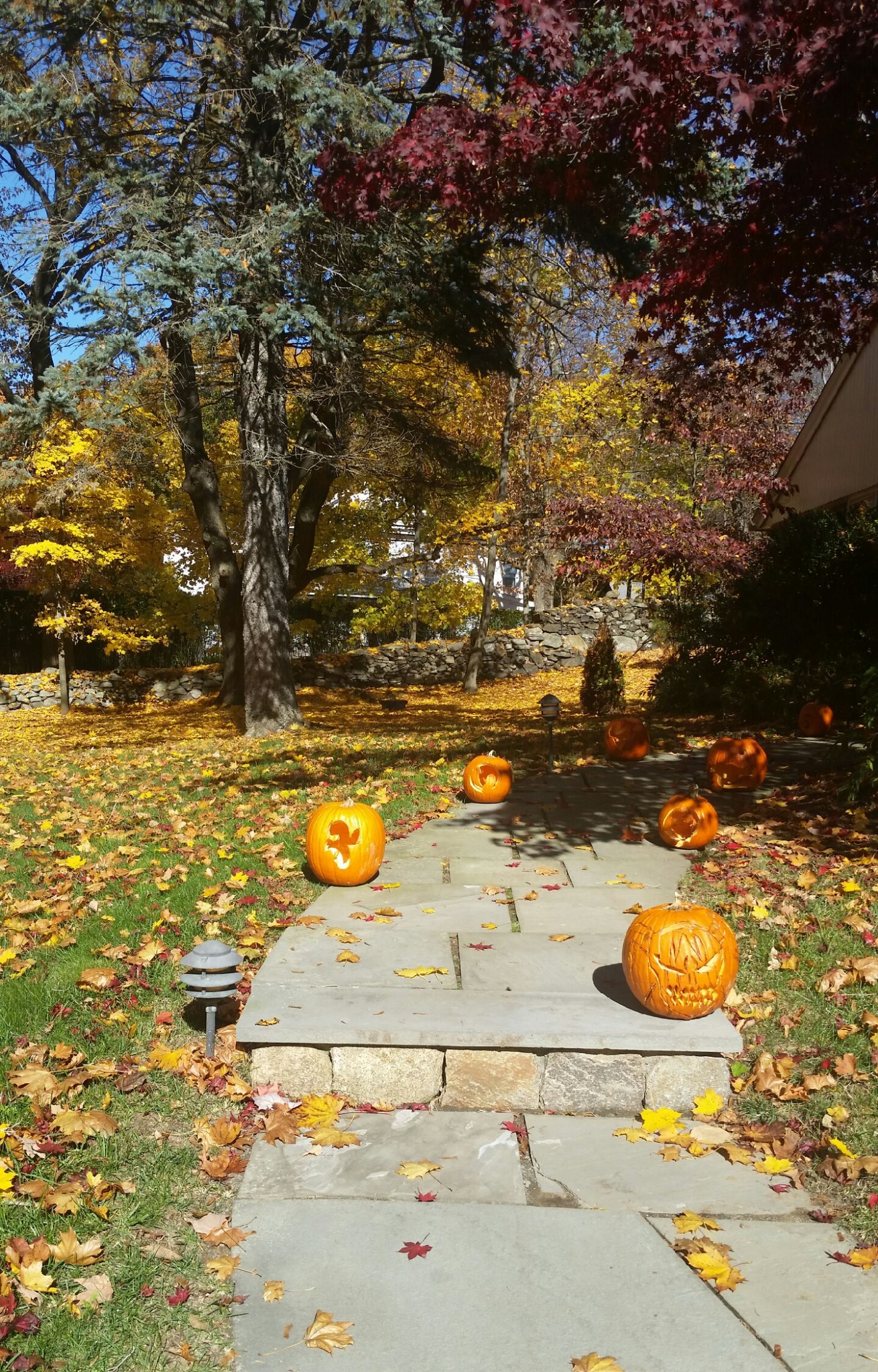 20151103_110249.jpeg