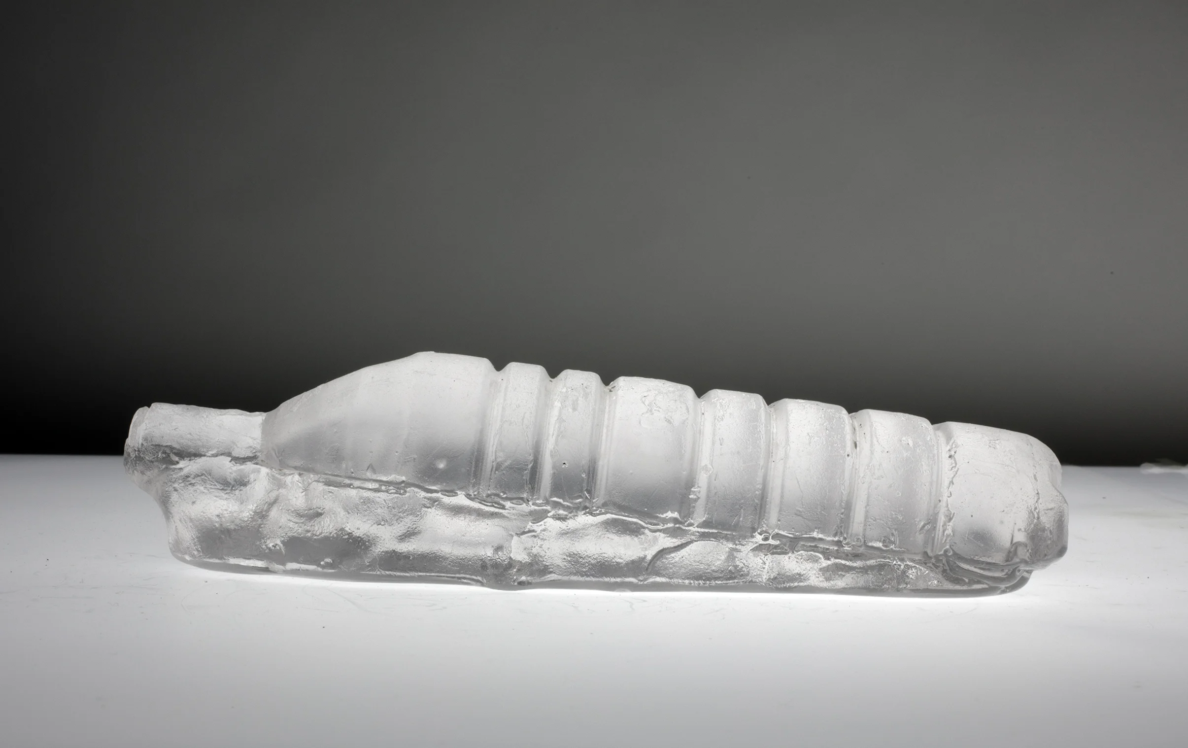 Ribbed Relic