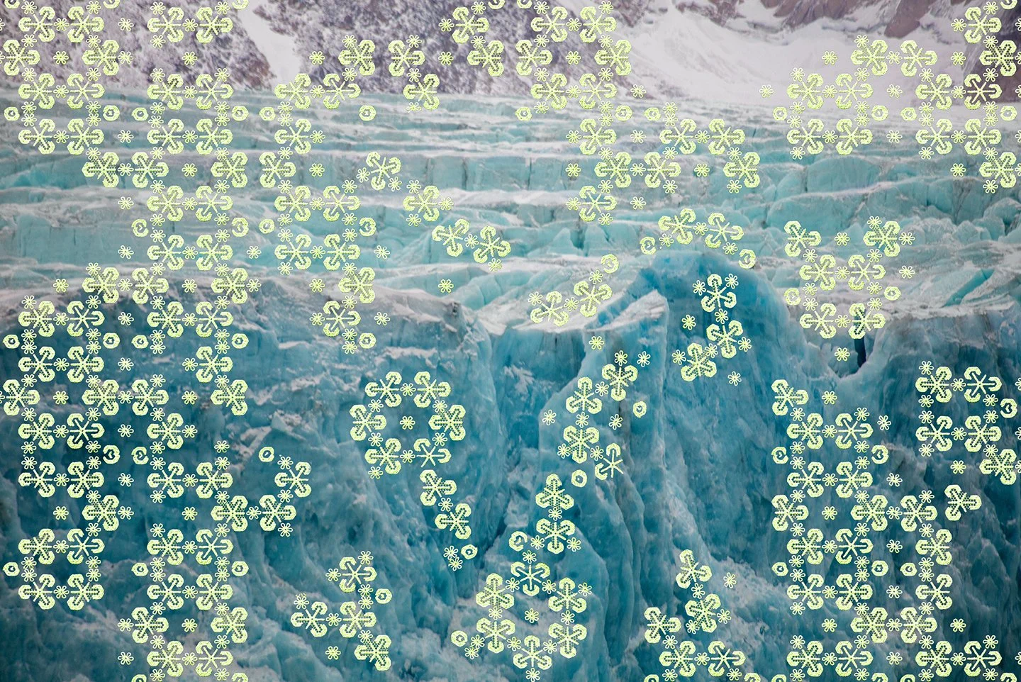 ZeldaZinn_Arctic_6158 72 copy 3.jpg