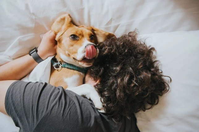 20 Reasons for Gratitude during the Pandemic
