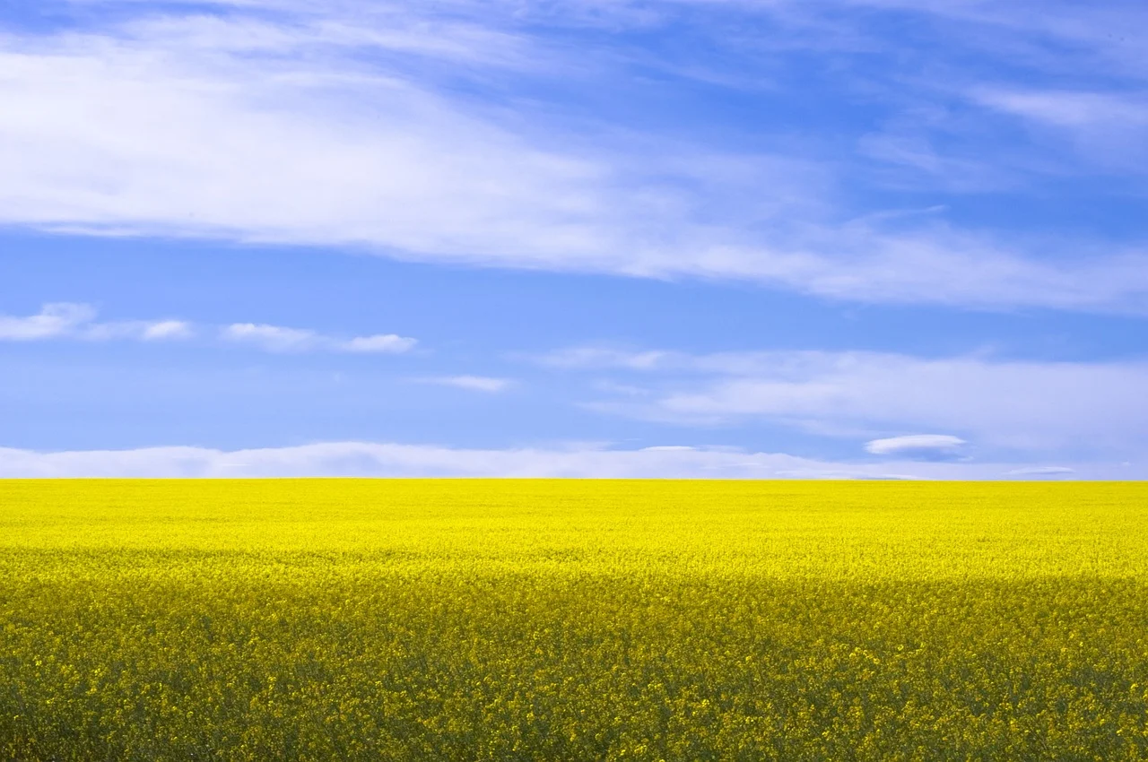 No direct operational or commodity risk Charles Bridgeford will not directly operate acquired farmland and will negotiate lease agreements based on cash terms tied to dollars per acre per year. Payments will not be linked to commodity prices.