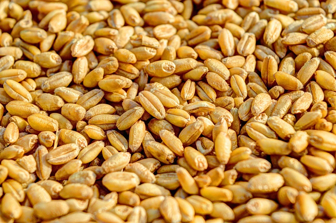 Crop insurance All lease terms include provisions for crop insurance and allowances for spot checks on land and farm operations.