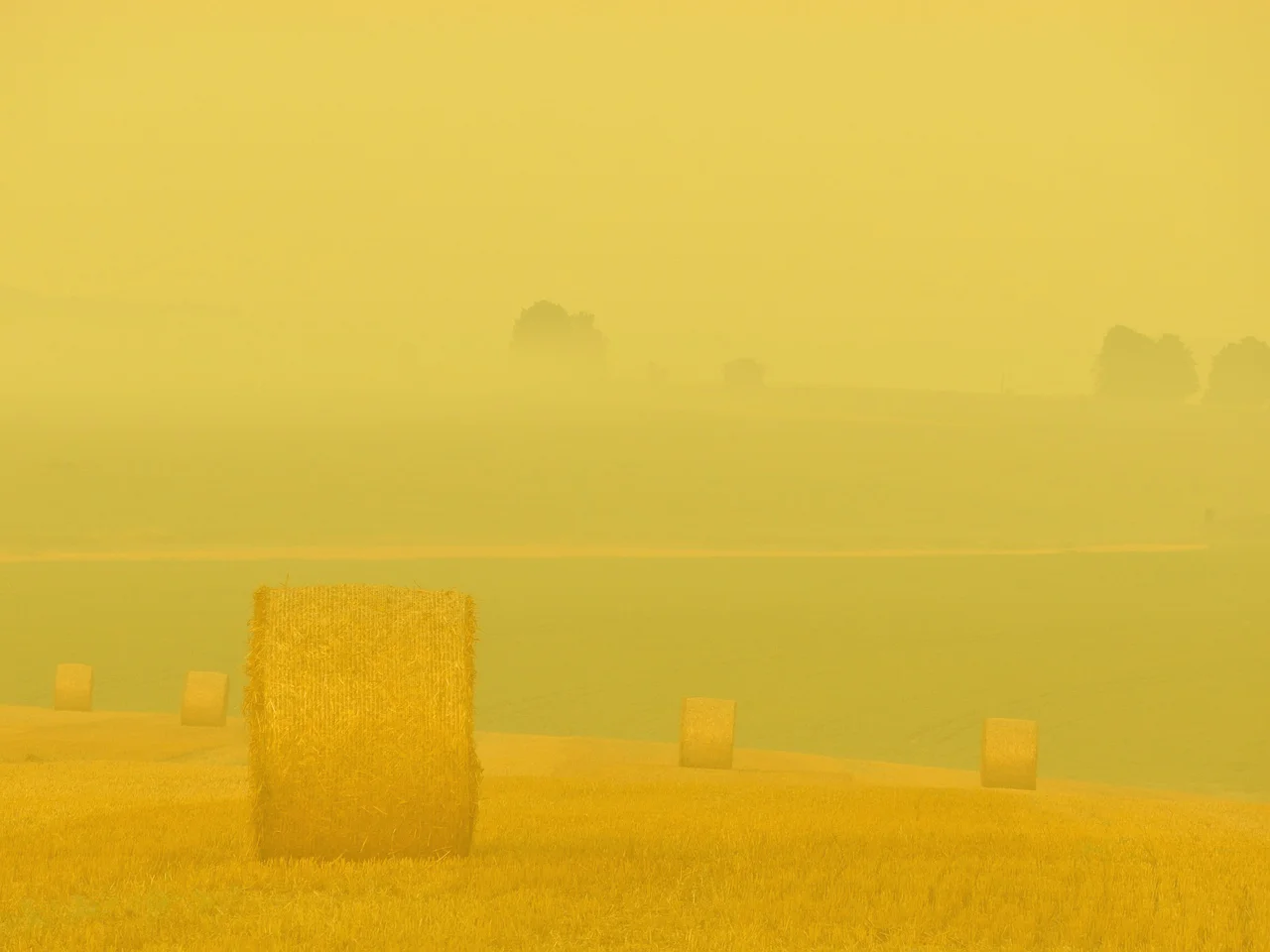 Modest leverage Farmland purchases may be financed with conservative amounts of leverage to enhance returns, but not so much as to distort the underlying risk-return profile of the asset.