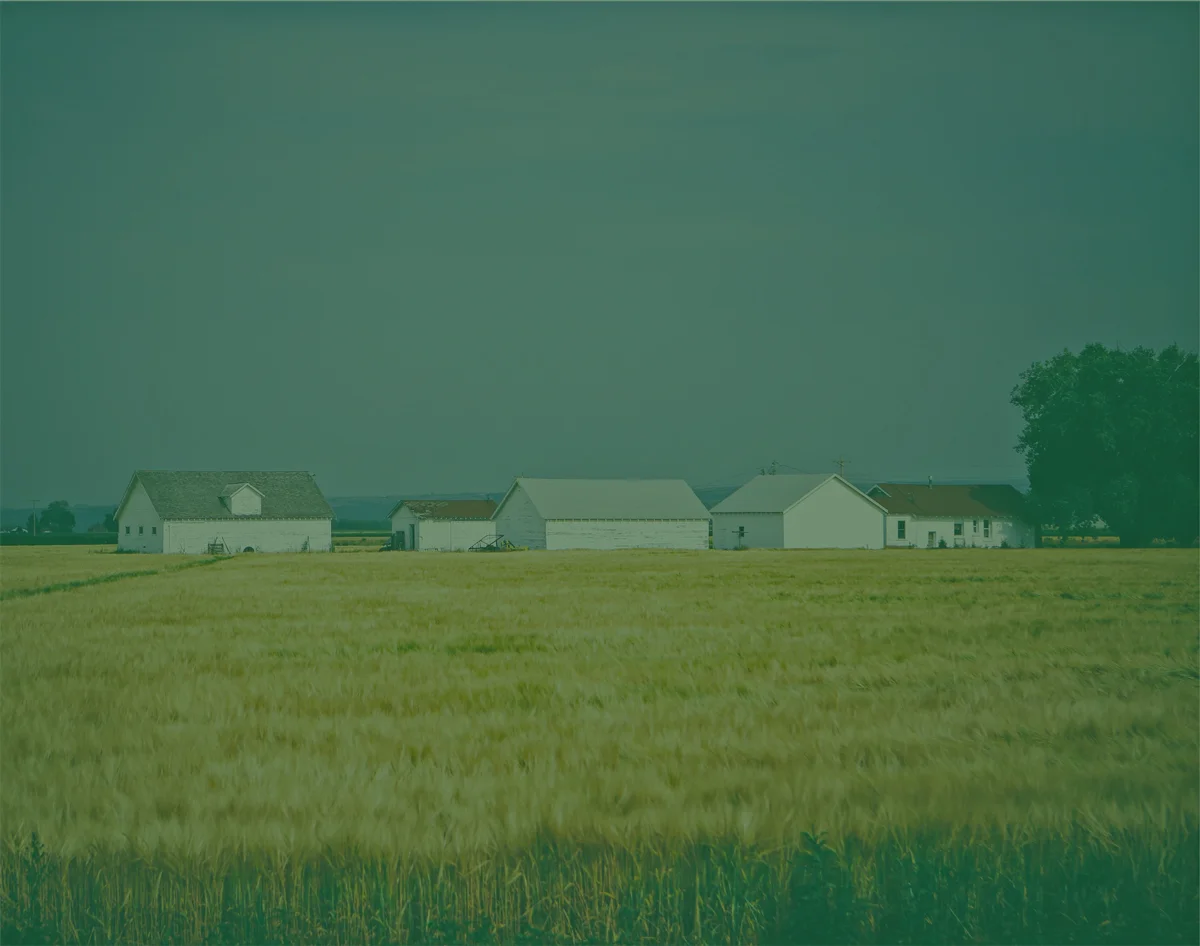 We will buy land on an "as is" basis, without taking into account the potential from capital movements.