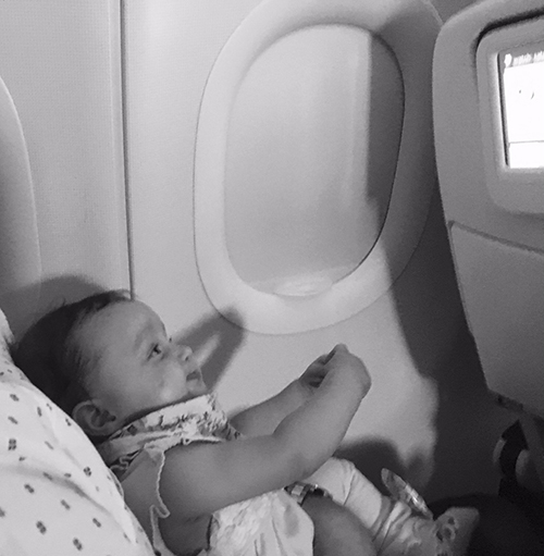 Ava Kitten Meow gearing up for the flight.