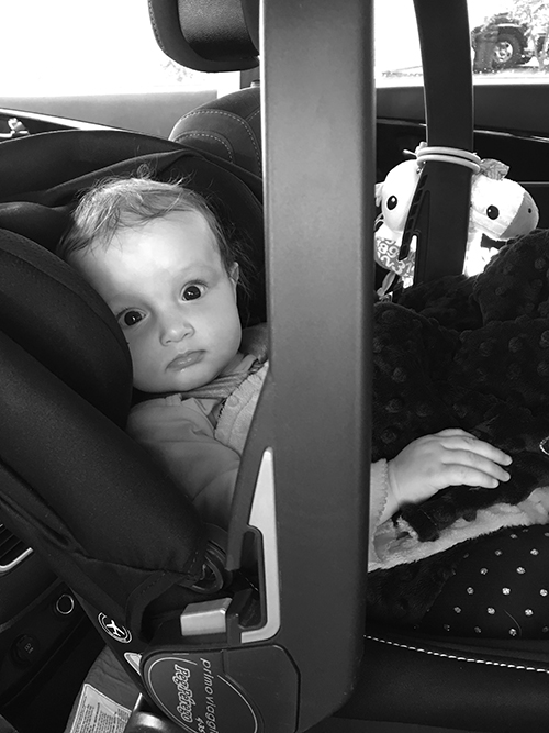 Traveling in style with my friends Pollo Loco and Affey the Giraffey. 