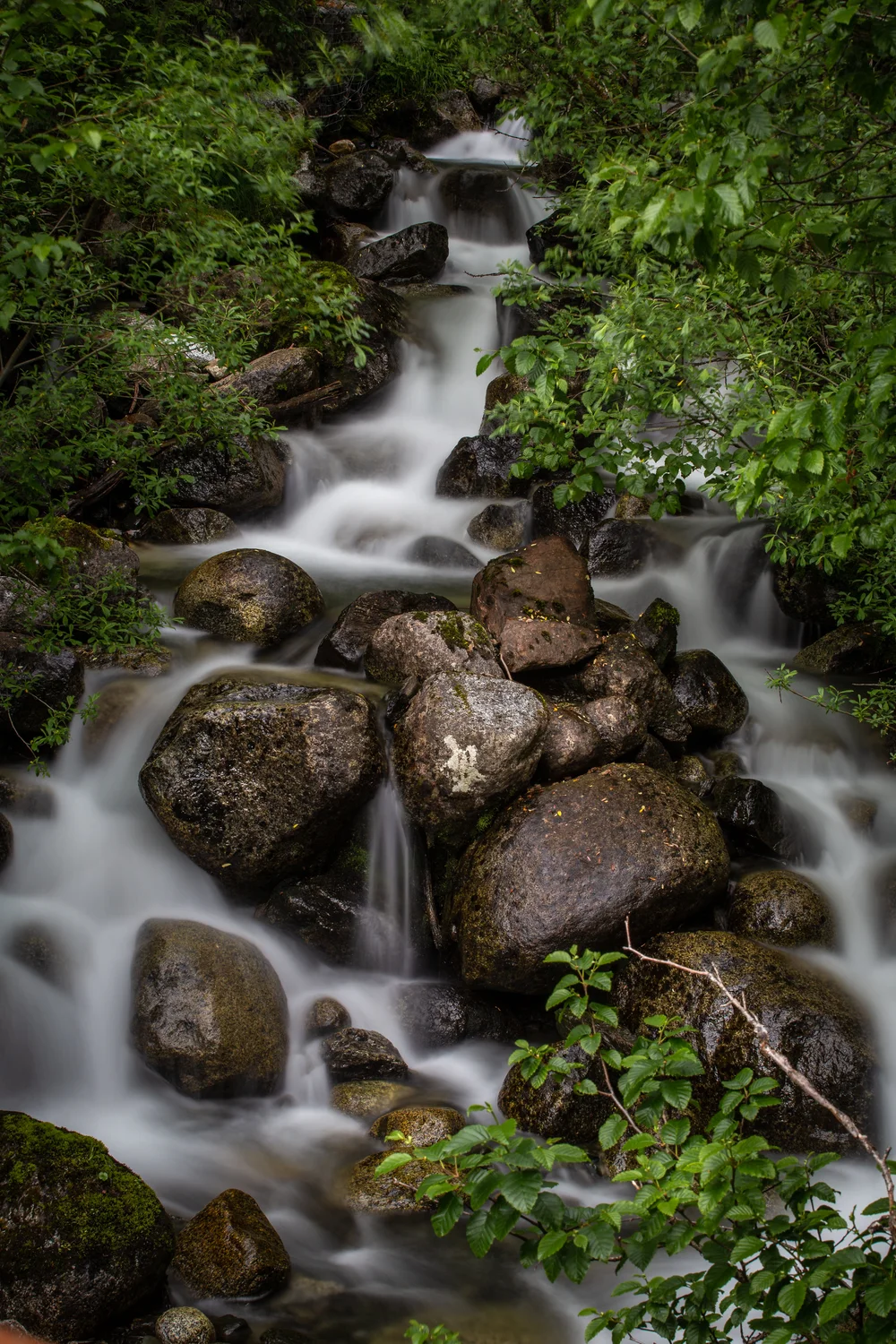 20180625 - Day 3 - Juneau9.jpg