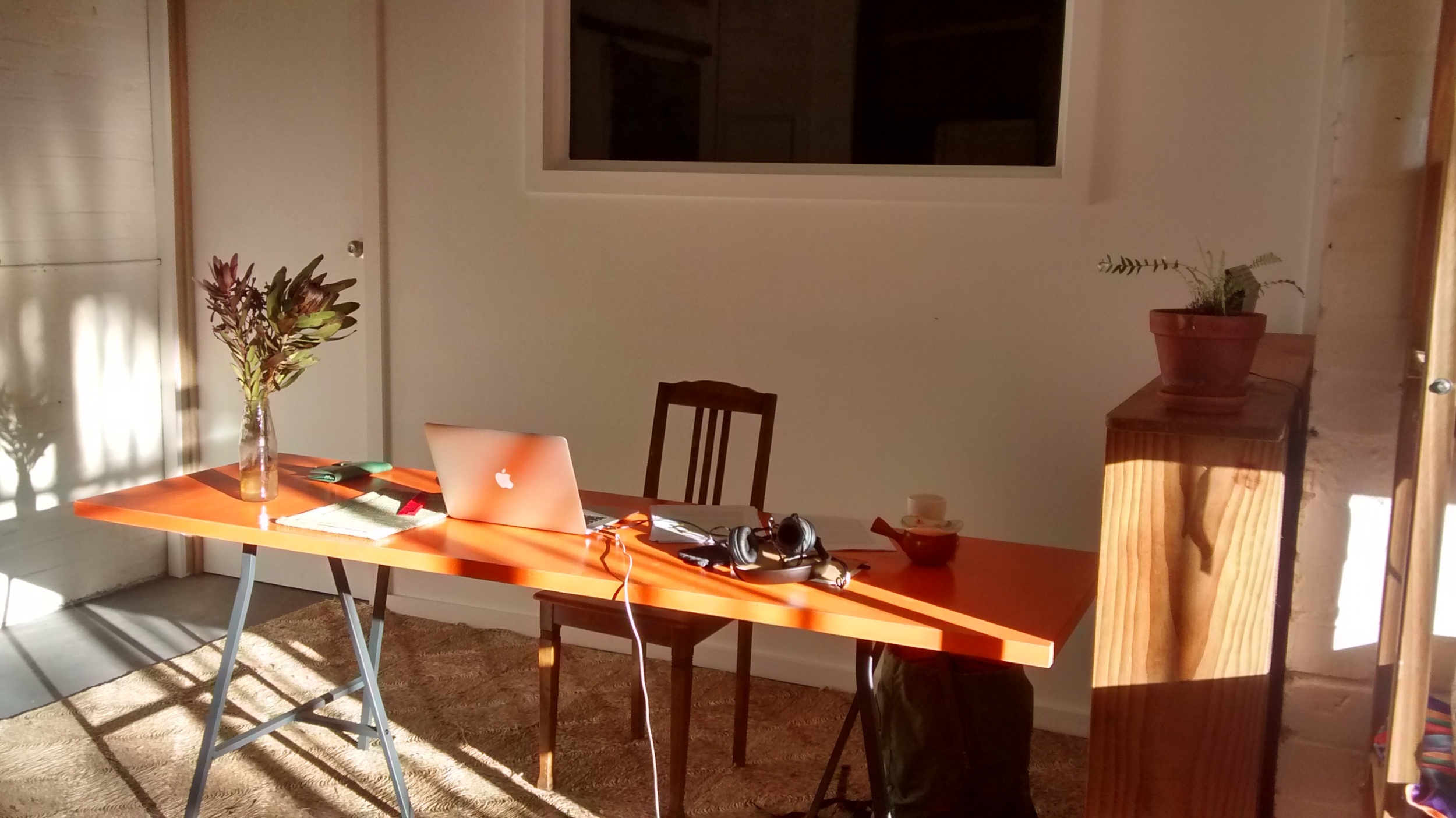 Mazza Studio.jpg