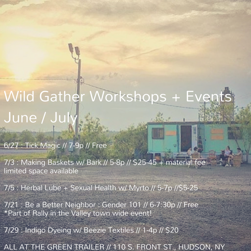 With Summer Solstice having arrived, we've been hard at work taking advantage of these long, sun filled days. While we're grateful to be tending our gardens, making medicine, wildcrafting, teaching and supporting our loved ones, we can't always be on TCB mode. So we've gotten together a juicy line-up of events and workshops for y'all to enjoy! Come take a break with us... We'll be sipping on some chill tea and taking time to be still, learn and take good care. Up first we have Tick Magic on 6/27 from 7-9pm. This is a free event in collaboration with Sarah Falkner Healing Arts . Tick Magic is a a gathering, a working, a container for facilitated collective magic. All folks are welcome no matter your personal histories or experience with tick related illness or magic. In July, we have a few hands-on plant based workshops. First a Making Baskets w/ Bark workshop on 7/3, where folks will learn how to craft their own bark baskets to take home (limited space available so RSVPs are important!). Later in the month on 7/29 we have a drop-in Indigo Dyeing workshop hangout with Barrie of Beezie Textiles , where you can bring your own cloth or garment to dye, or grab a hankie from Barrie! We'll also be getting sexy and healthy with Myrto, our friend and local herbalist who will be faciliating an Herbal Lube + Sexual Health class on 7/5. In this class you'll learn about different herbs to use in making a water based lube, which can serve as an aphrodisiac, UTI/yeast preventive and support the overall health of your down there tissue states. And lastly, in collaboration with Rally in the Valley , a festival of art, education and action in support of Upper Hudson Planned Parenthood, we'll be offering this workshop on 7/21 : Be a Better Neighbor: Gender 101. As a culture, we are taking major strides towards breaking down the gender binary, one bathroom at a time. While we are grateful for this cultural movement towards compassionate ally ship for our queer and trans communities, we know that there is still a lot of work to be done on the ground. In this workshop we will break down gender identity, expression, and pronouns. We will provide tools towards creating safer spaces, gender literacy, and collective liberation for all. We encourage you to come with an open mind and open heart. No matter what your experience or understanding of gender is you're welcome here. All workshops take place at Wild Gather's headquarters, The Green Trailer @ Basilica Hudson, 110 S. Front St. Hudson, NY. To RSVP for any event, send along an email to wildgather@gmail.com and let us know which you're wanting to attend. Thanks so much, y'all! XO, Wild Gathe