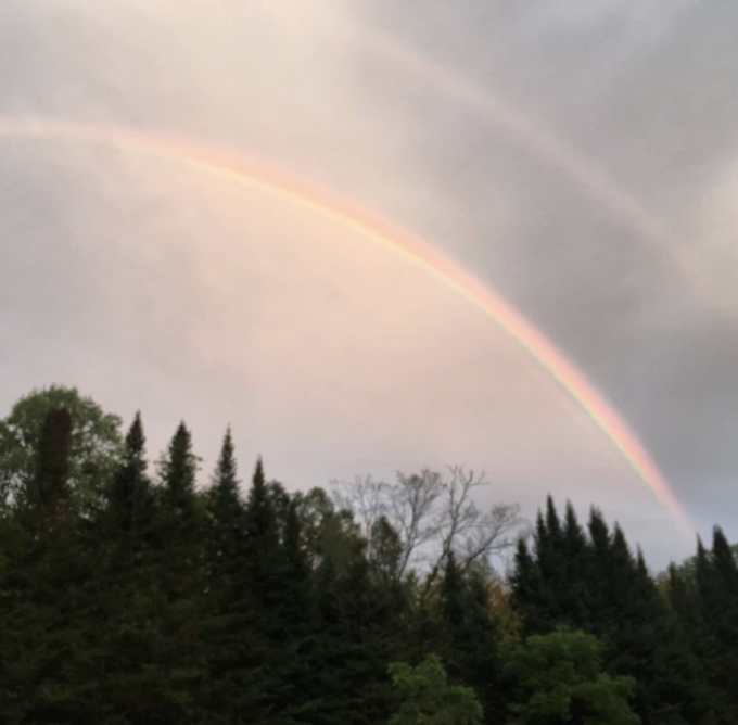 Screen Shot 2021-11-14 at 12.18.40 PM.png