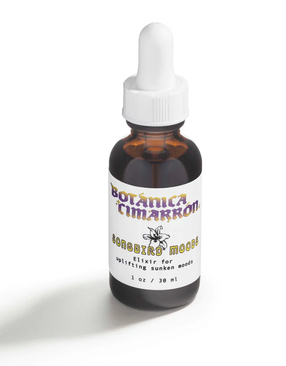 Screen Shot 2022-04-05 at 11.20.50 AM.png