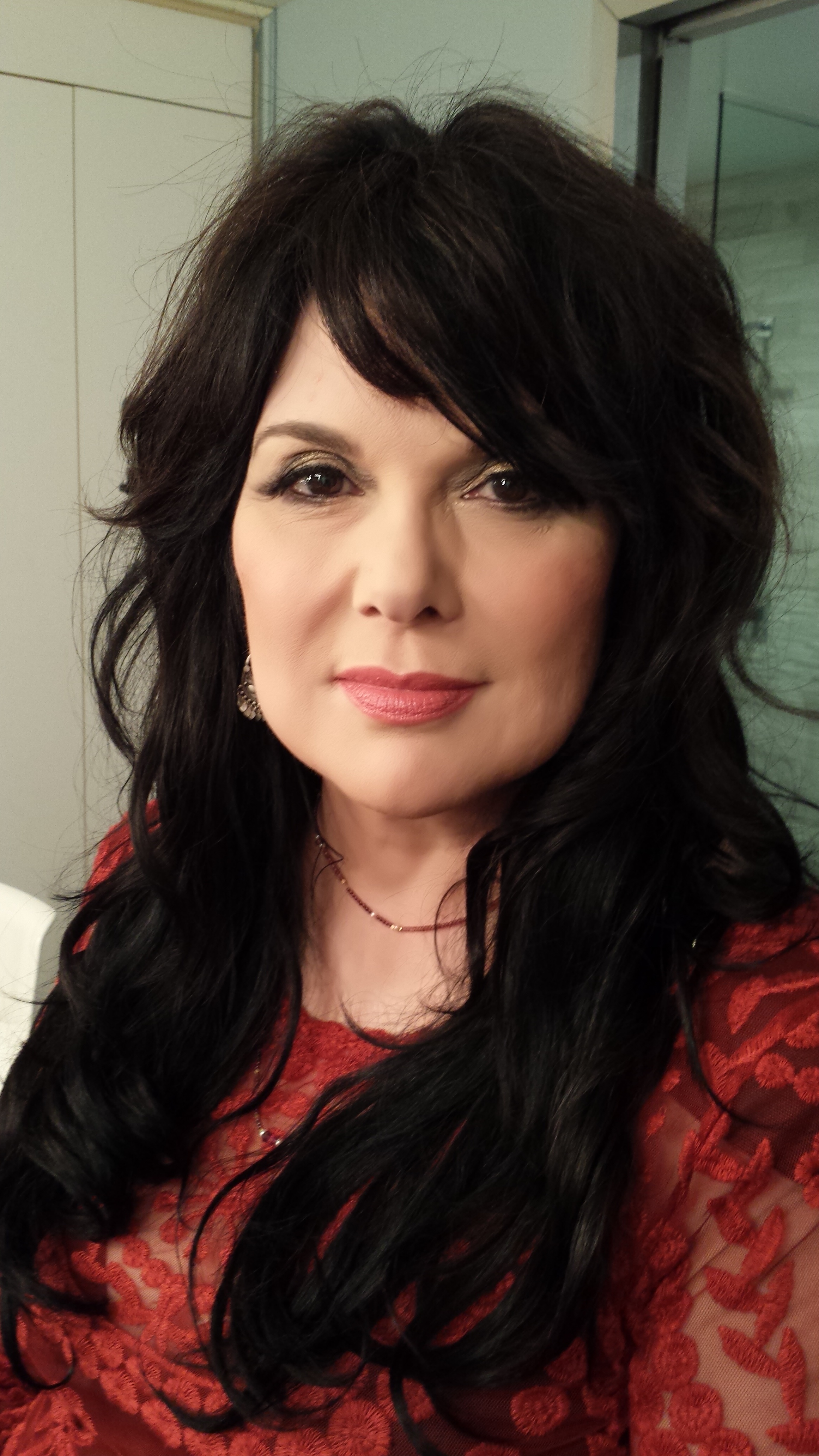 Ann Wilson before interview