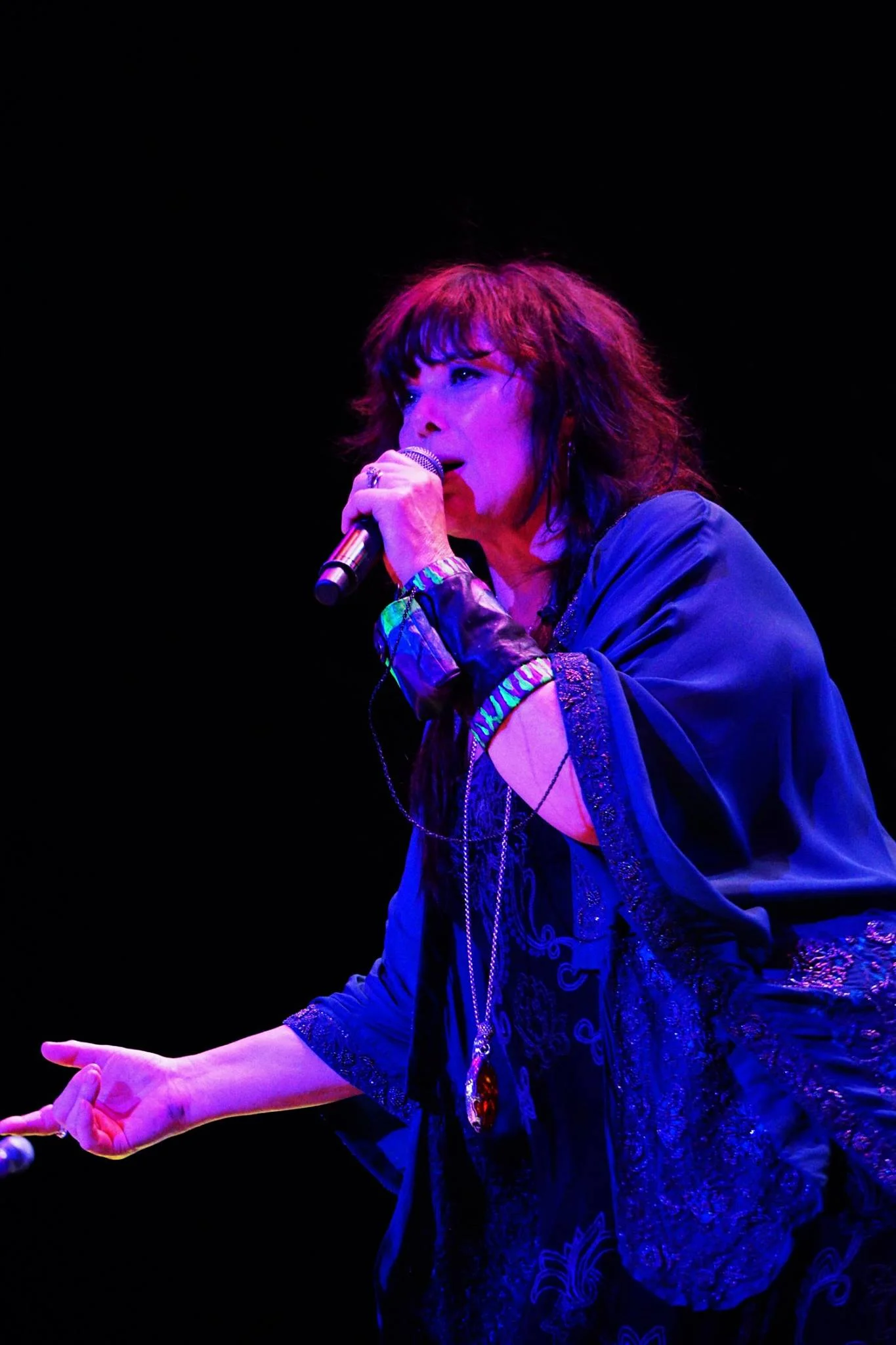 Ann Wilson on Fire
