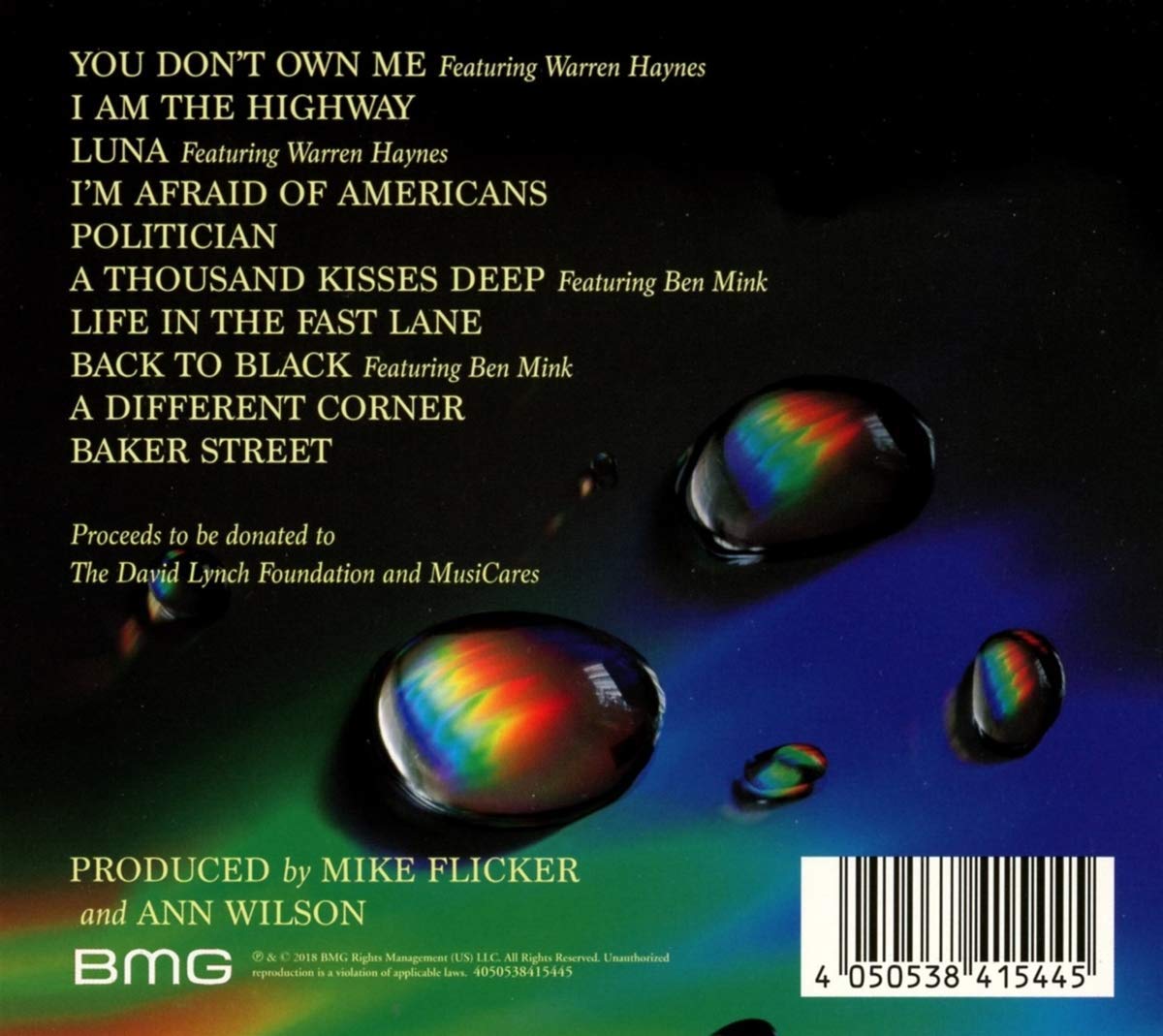 Ann Wilson ann wilson