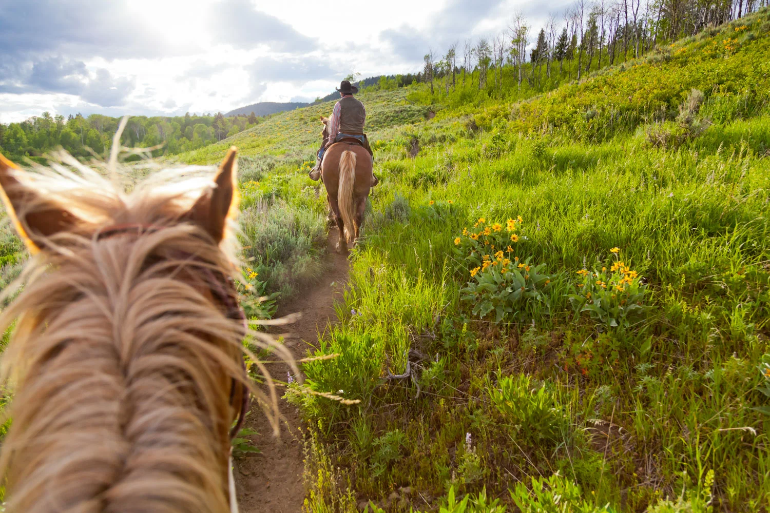Horseback Riding | Susan Seubert
