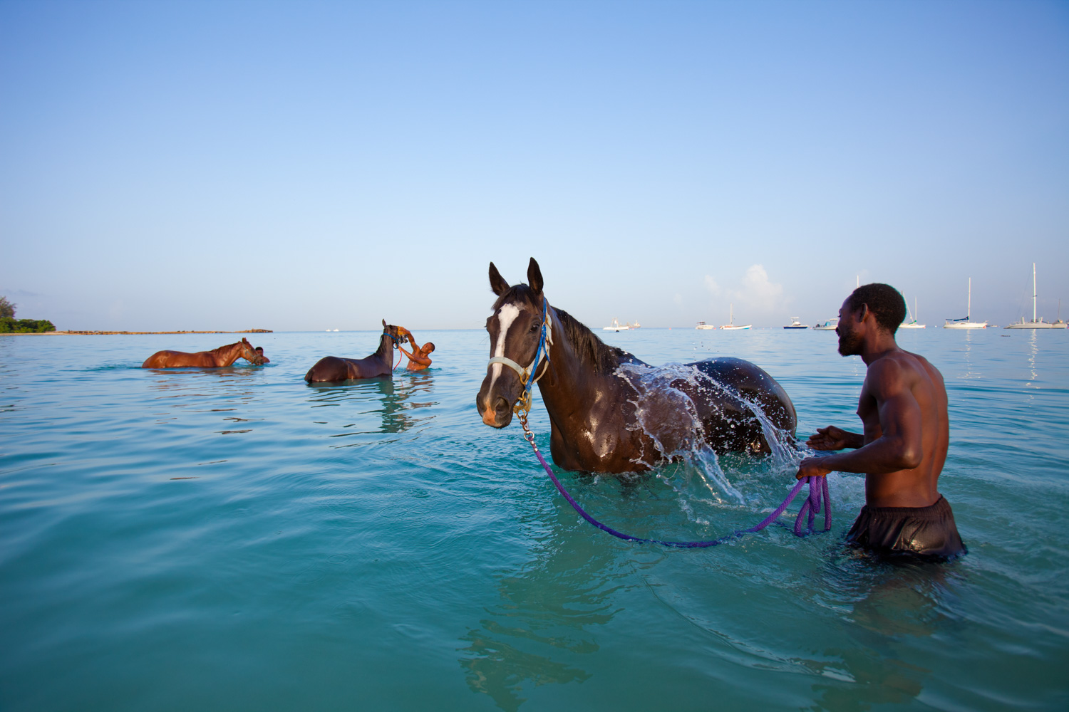  Image of man with horses in water. Lifestyle photography by Susan Seubert.  