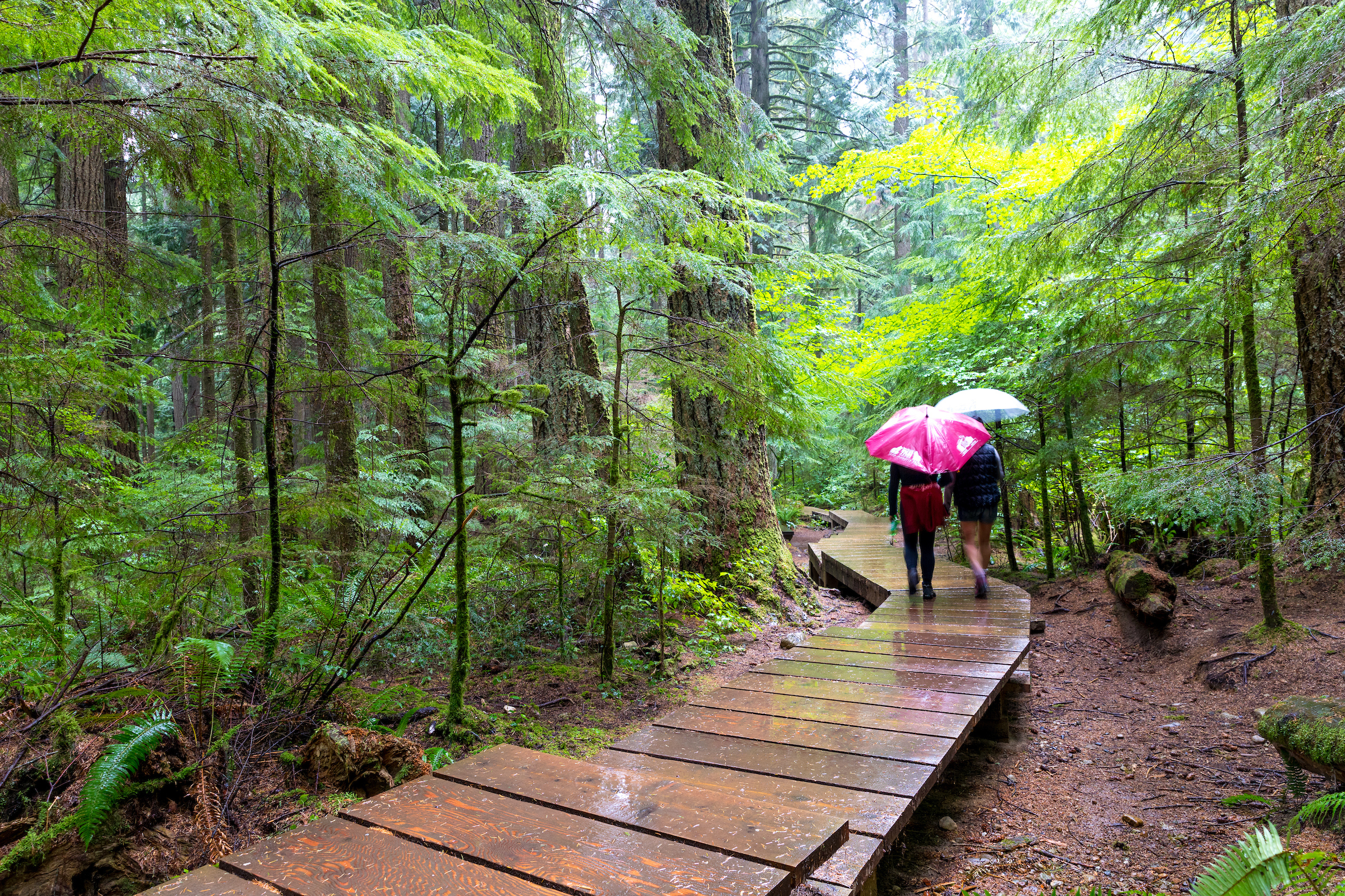 Lynn_Canyon_Park_006.jpg