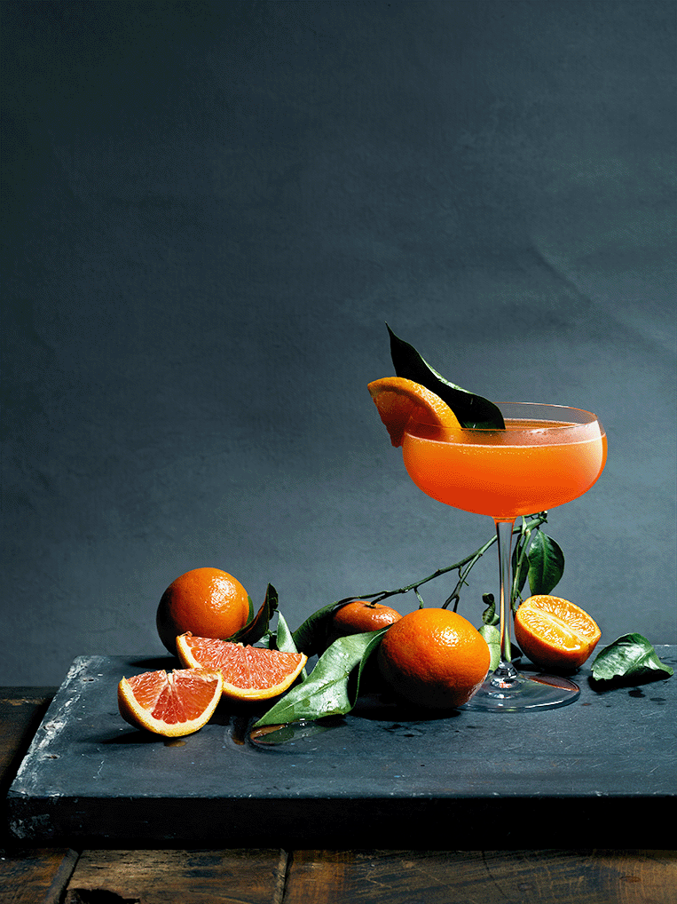 OrangeMartini-LR-72.gif