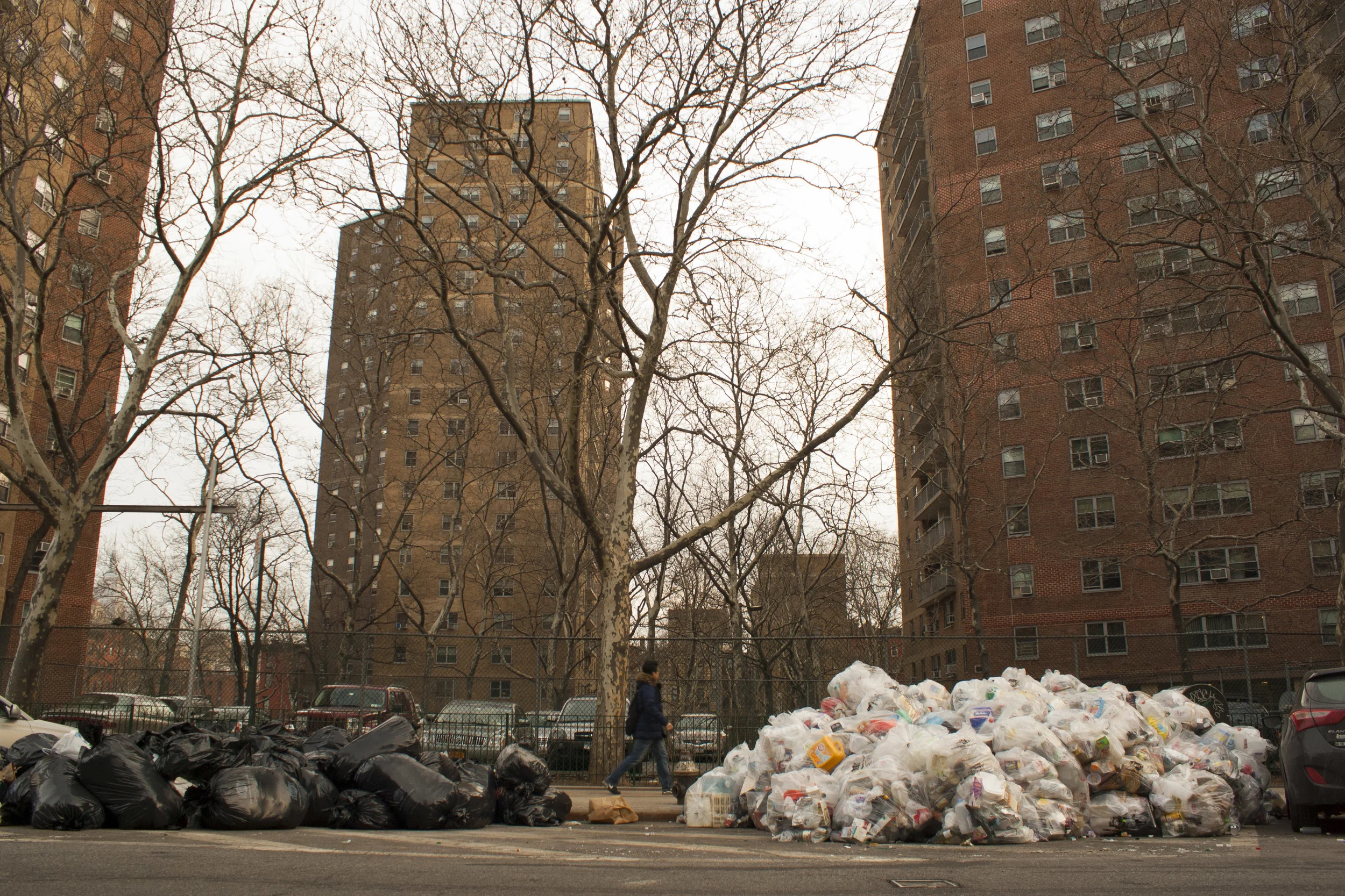 Garbage day. 