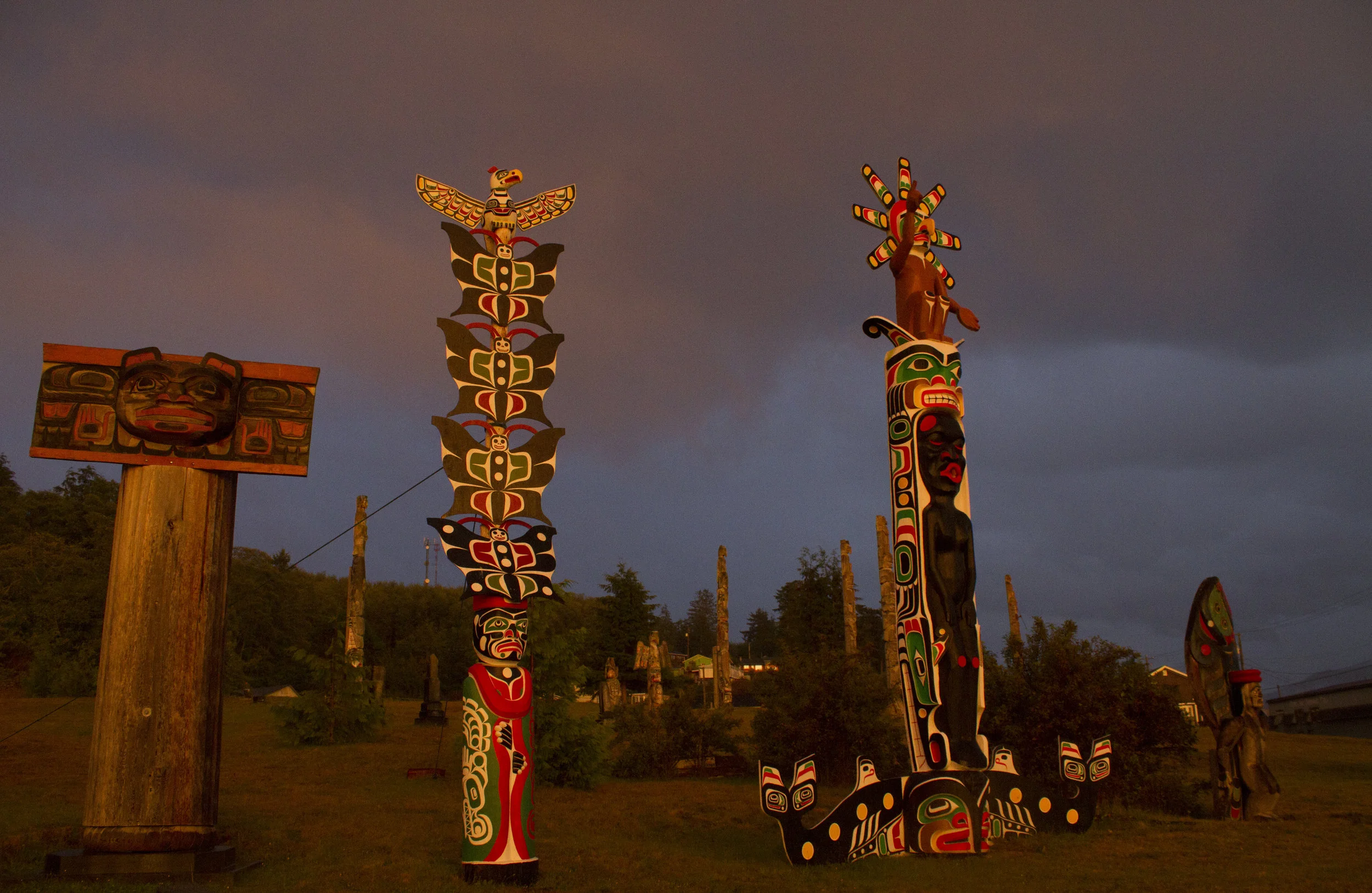 The original 'Namgis First Nation burial ground on Cormorant Island. Once fallen, poles are left to erode back to the earth.