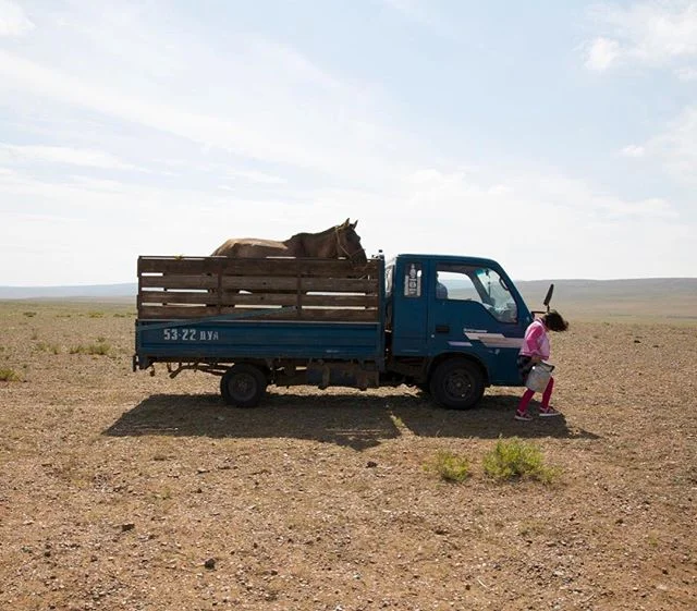 This one time I hung out in the Mongolian steppe with this rad nine year old while she prepared for a 25 kilometre horse race. Here little Bujinlkham packs up her horse in the family truck on the morning of the race. @aljazeera #mongolia #dundgovi #n