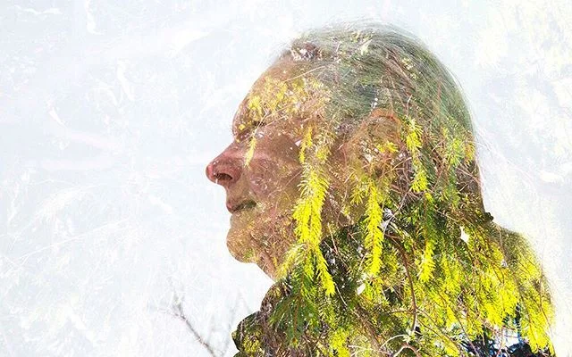 Practicing shooting multiple exposure portraits with my lovely mamma bear as a model. #canon5dmarkiii