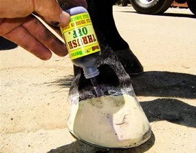  Equibond patch over it