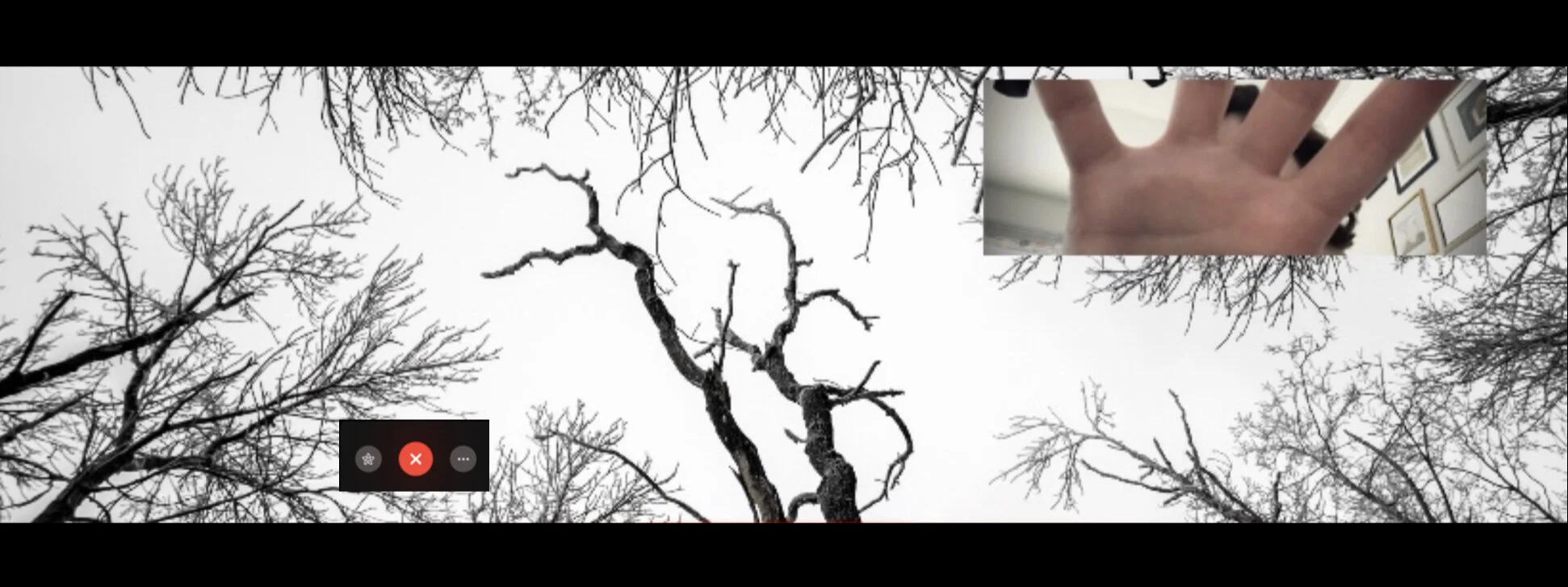 Winterreise: A Year in Review