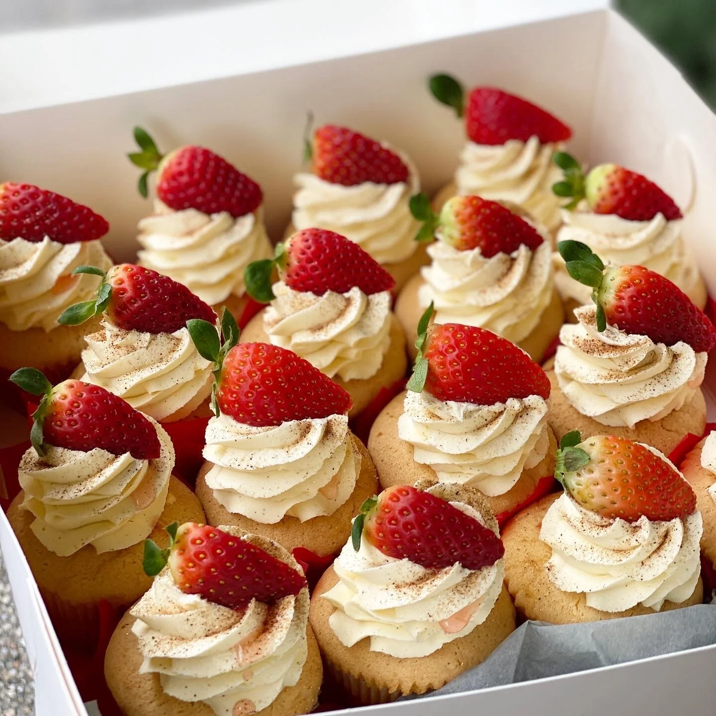 vanillapodspecialtycakes-brisbane-cakes-noveltycakes-cupcakes (33).JPG