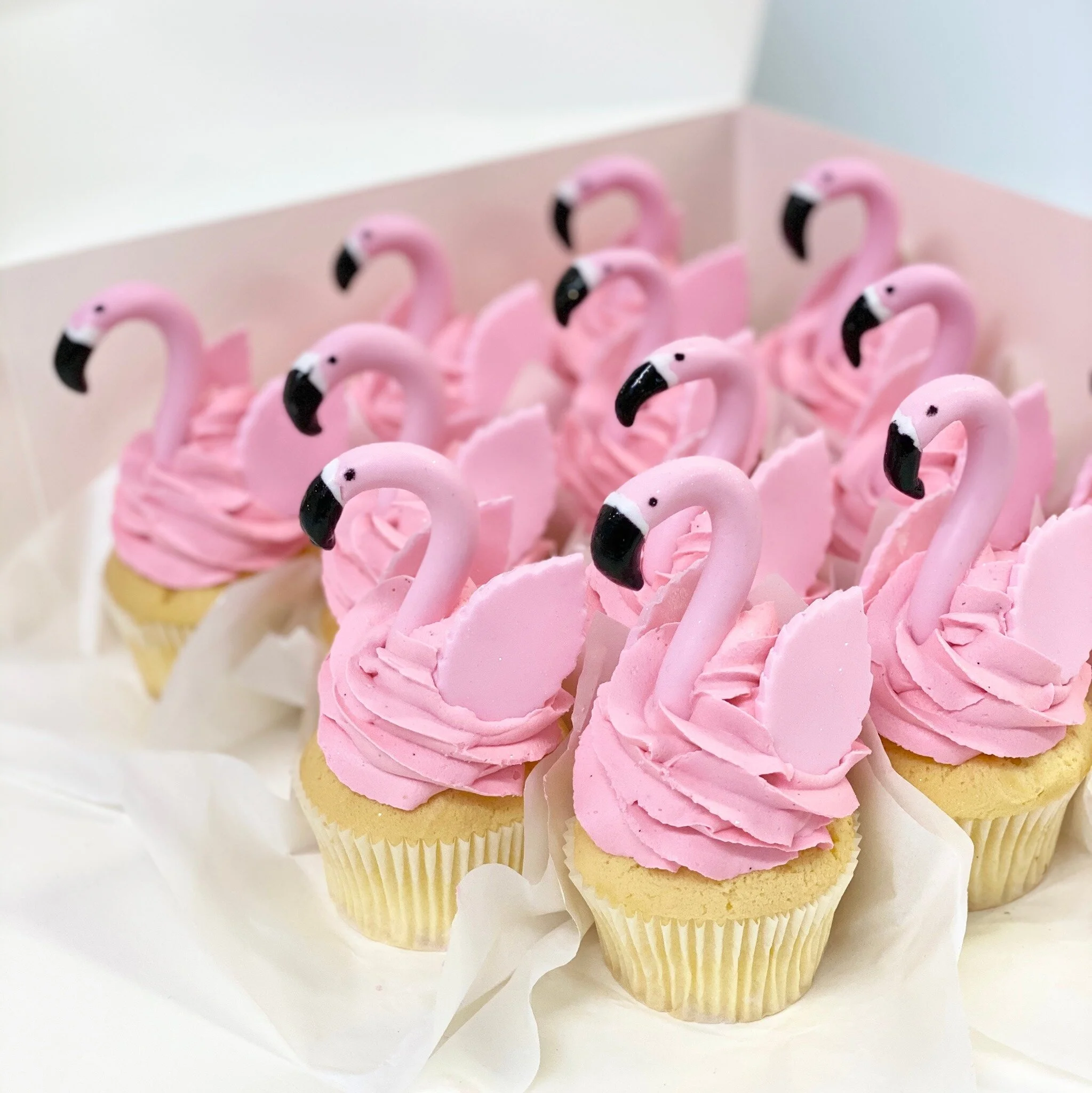 vanillapodspecialtycakes-brisbanecakes-birthdaycakes-weddingcakes-noveltycakes-buttercream-cookies-cupcakes (14).jpg