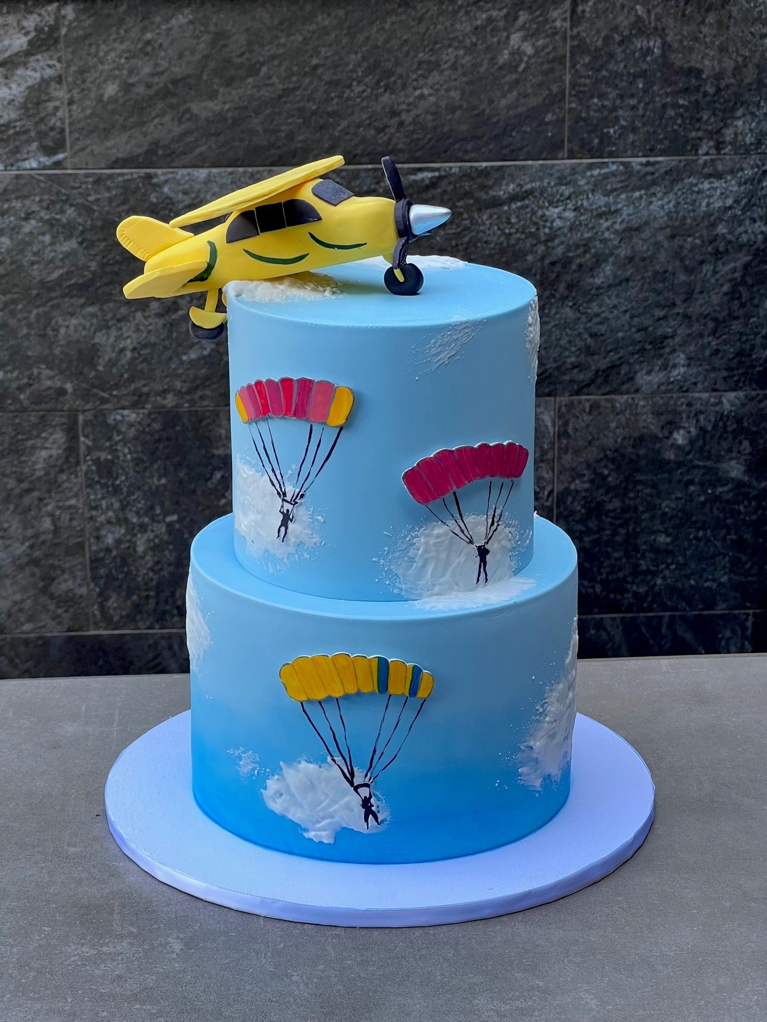 vanillapodspecialtycakes-brisbanecakes-noveltycakes-buttercreamcake-plane-skydivingcake.jpg