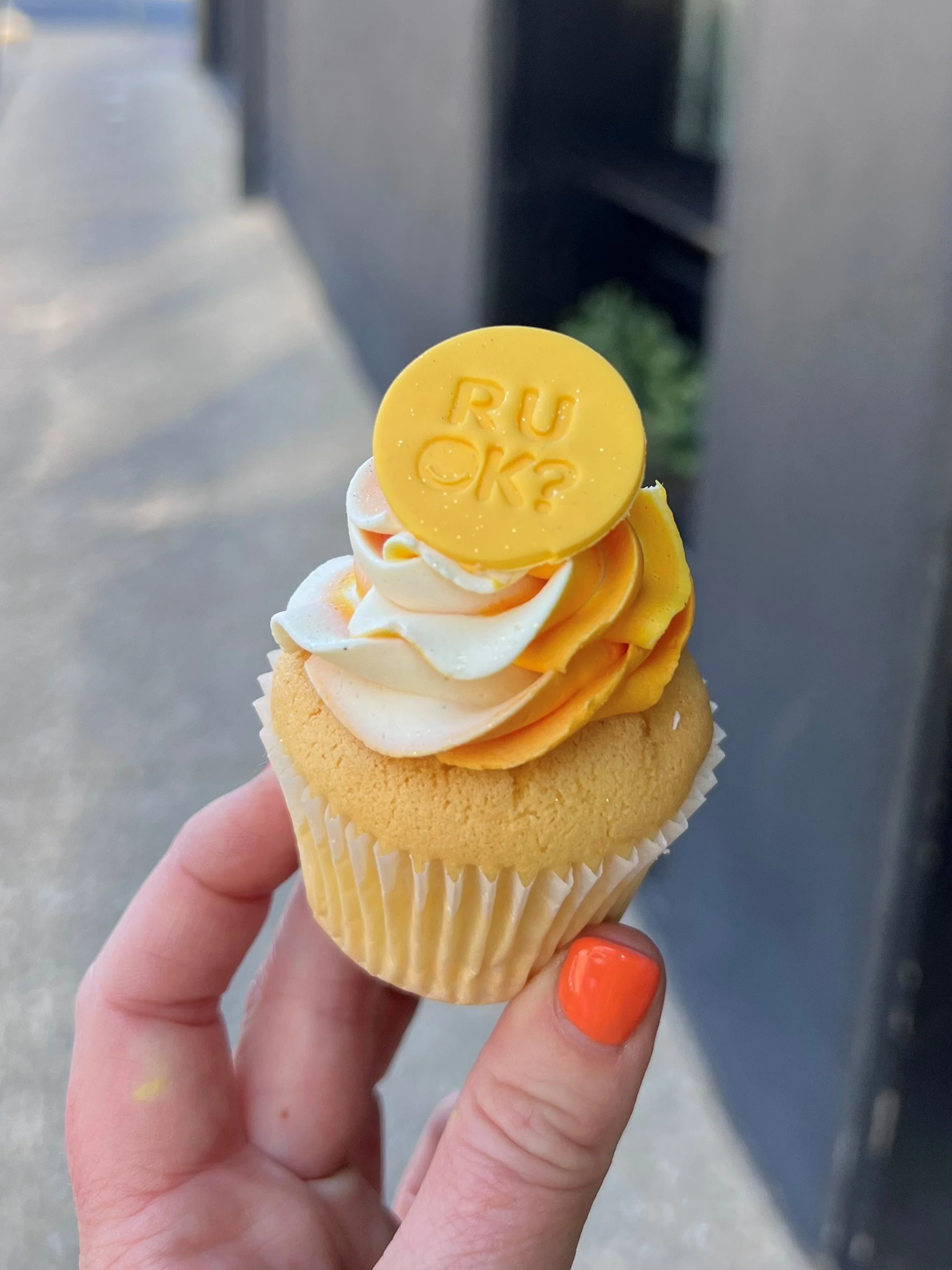 Cupcakes — Vanilla Pod