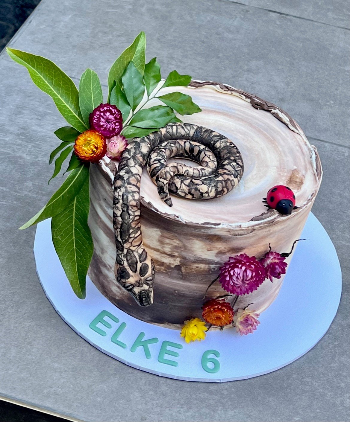 vanillapodspecialtycakes-8thbirthday-brisbanecakes-buttercreamcake-pythoncake-python-snakecake-reptileparty-snakeparty.jpg