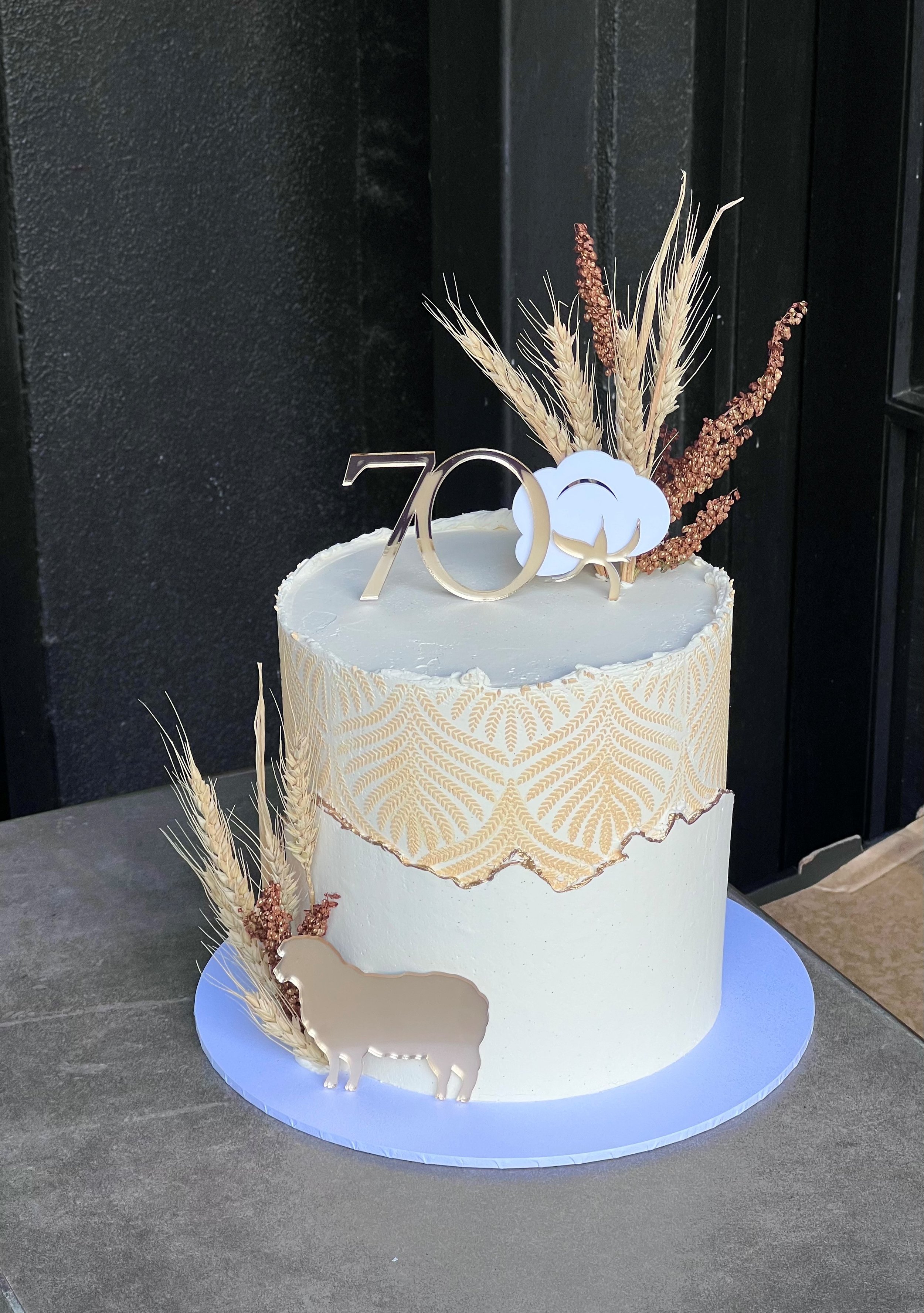 vanillapodspecialtycakes-noveltycakes-brisbanecakes-birthdaycakebrisbane-buttercreamcake (5).jpg