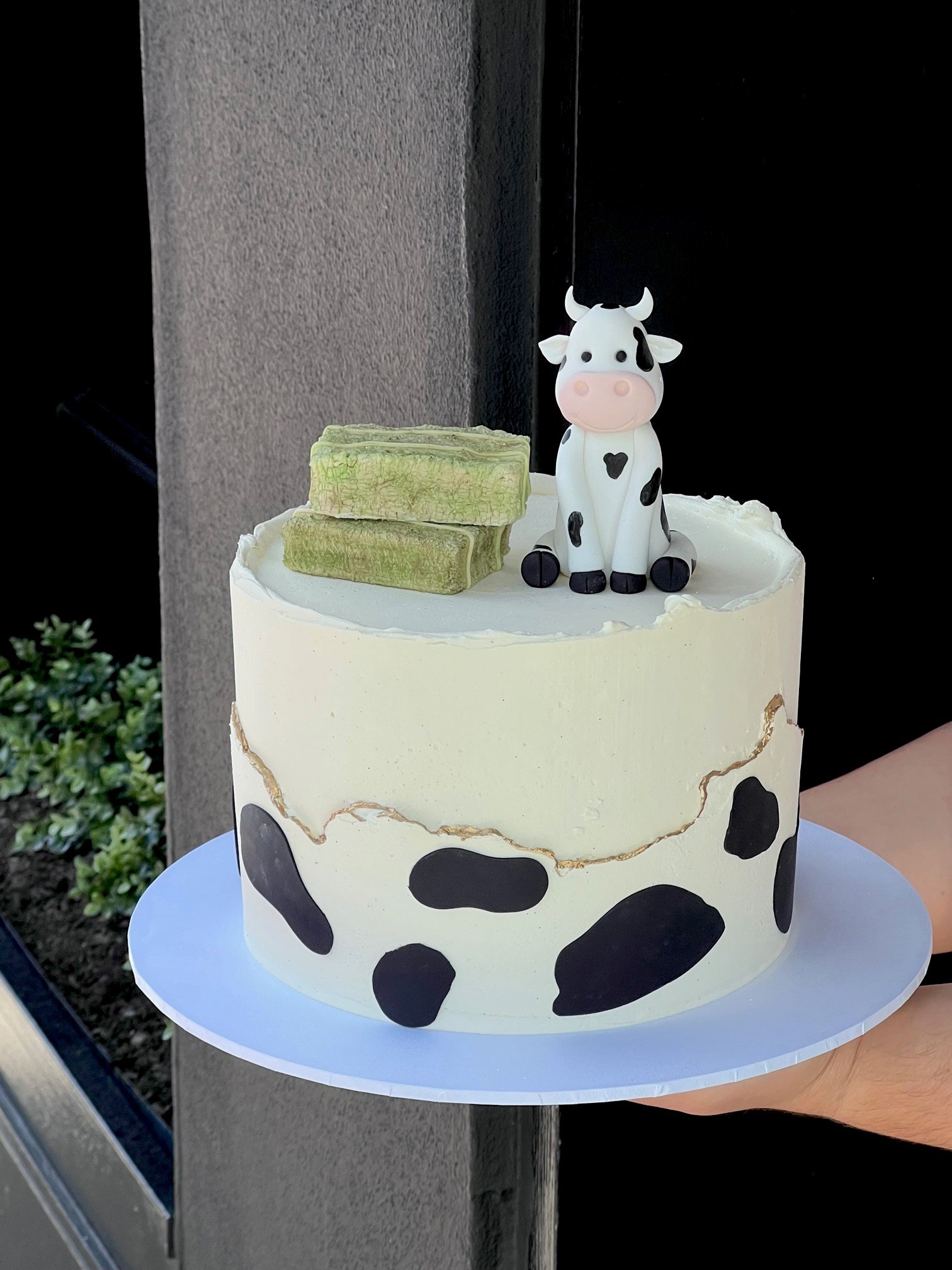 vanillapod-vanillapodspecialtycakes-bakery-celebrationcake-birthdaycake-kidscakes-cowcake.jpg