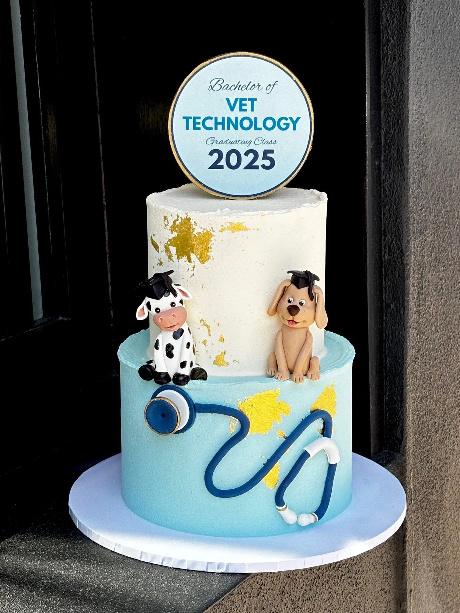 vanillapodspecialtycakes-vanillapod-corporatecakes-birthdaycake-brisbanecakes-kidscakes-brisbanebakery-uqvettechnology-vetcake-catcake-cowcake-graduationcake-victoriapark.jpg